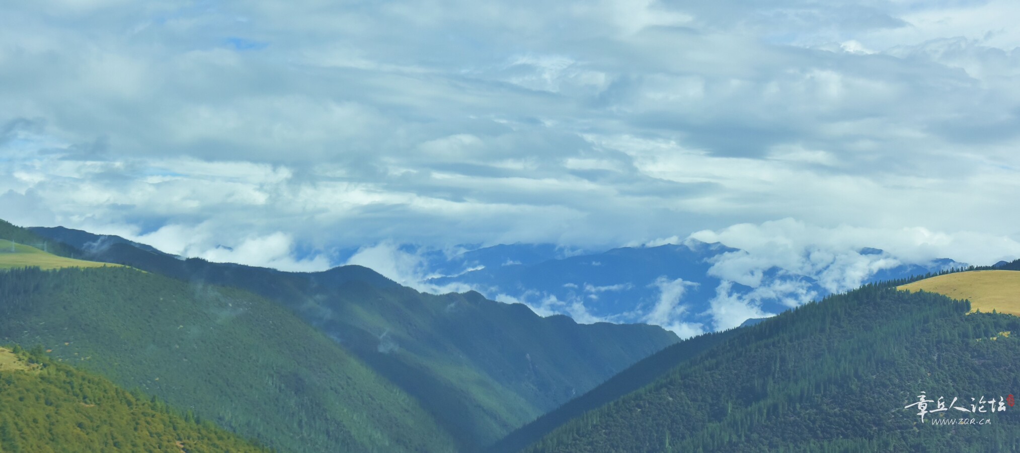 DSC_8790.jpg