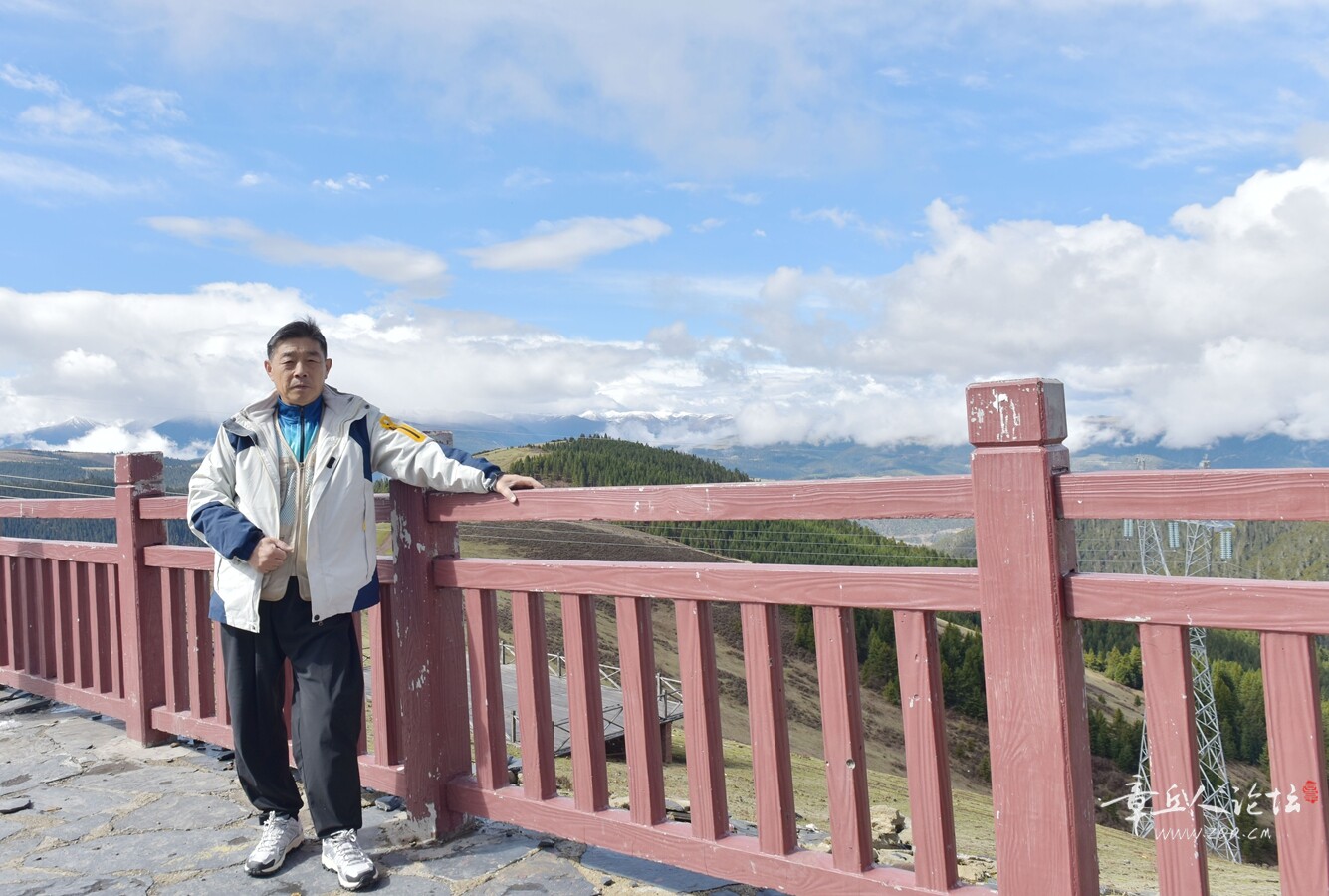 DSC_8819.jpg