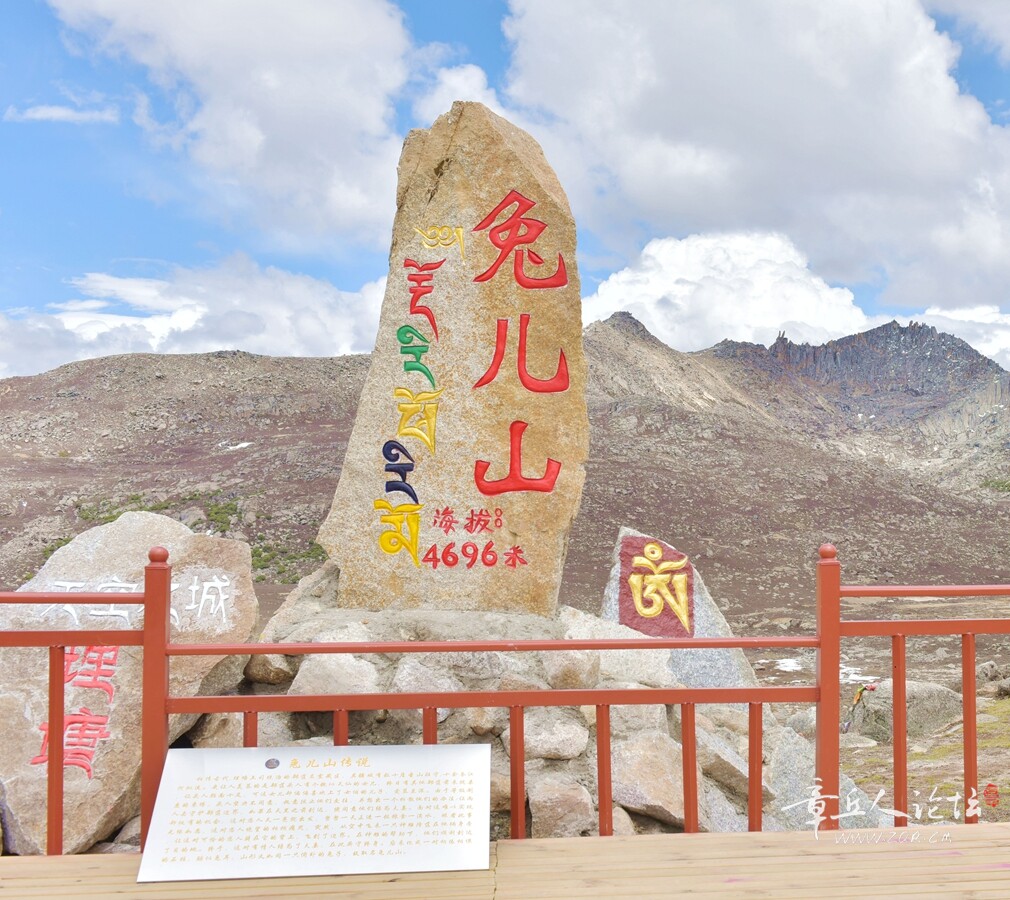 DSC_8978.jpg