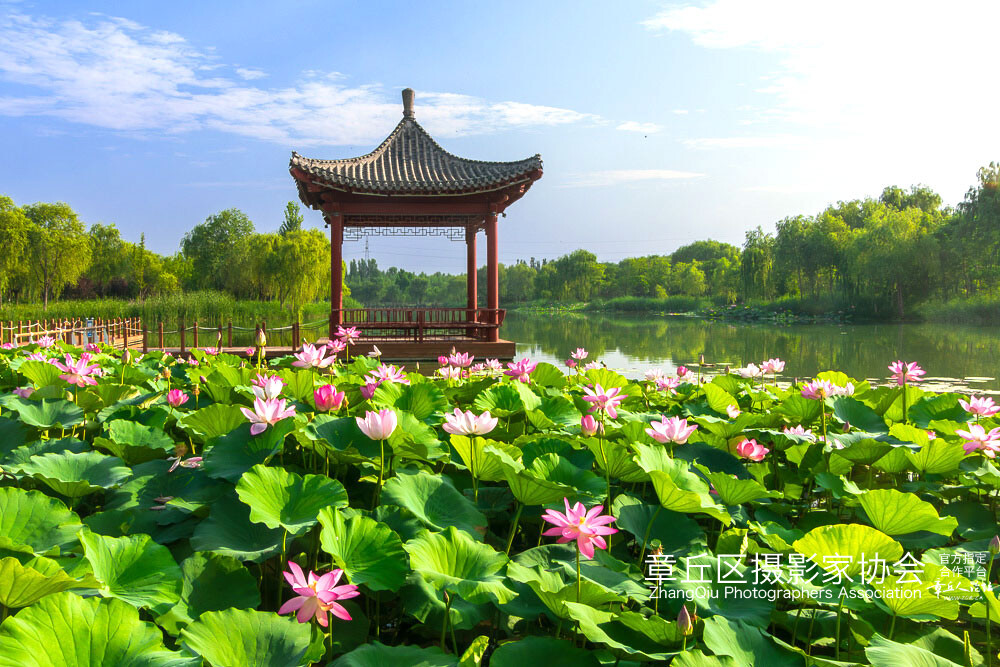 未命名-41.jpg