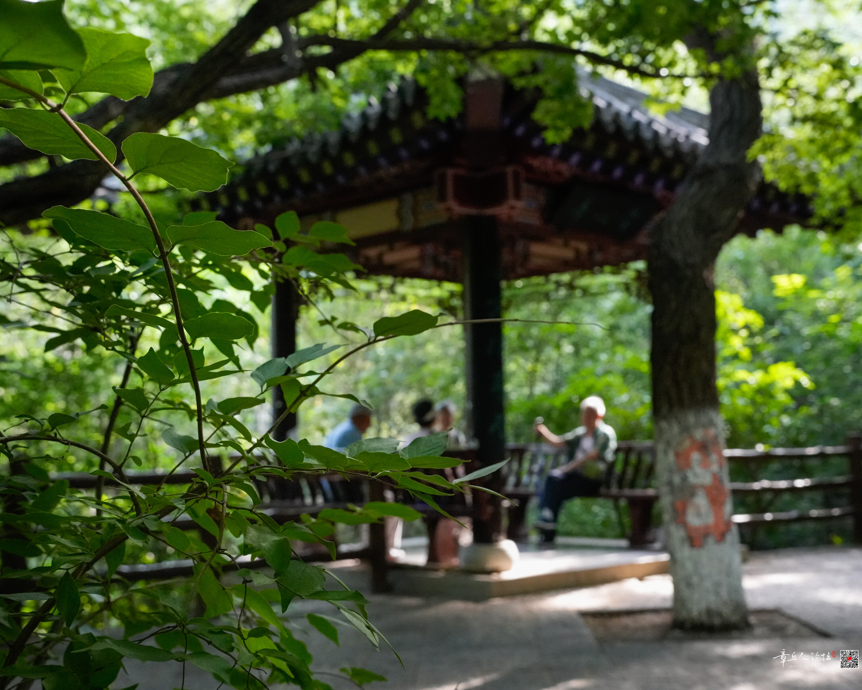 微信图片_20260718080922_31_5.jpg