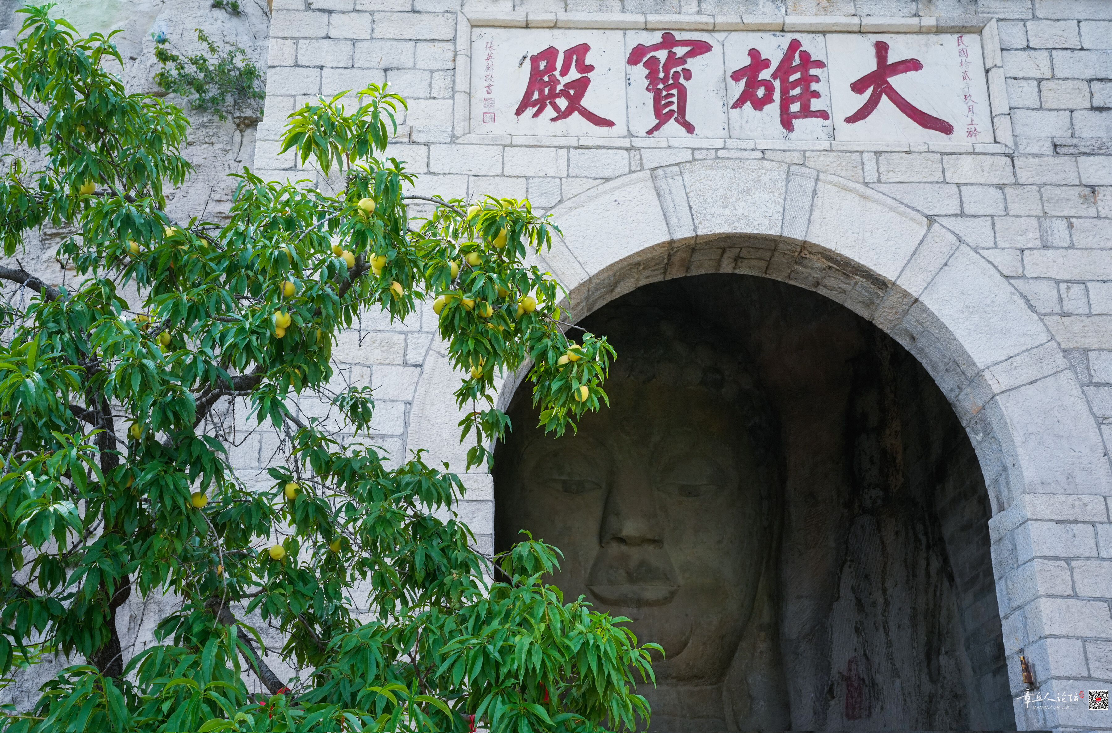 微信图片_20260718080938_43_5.jpg