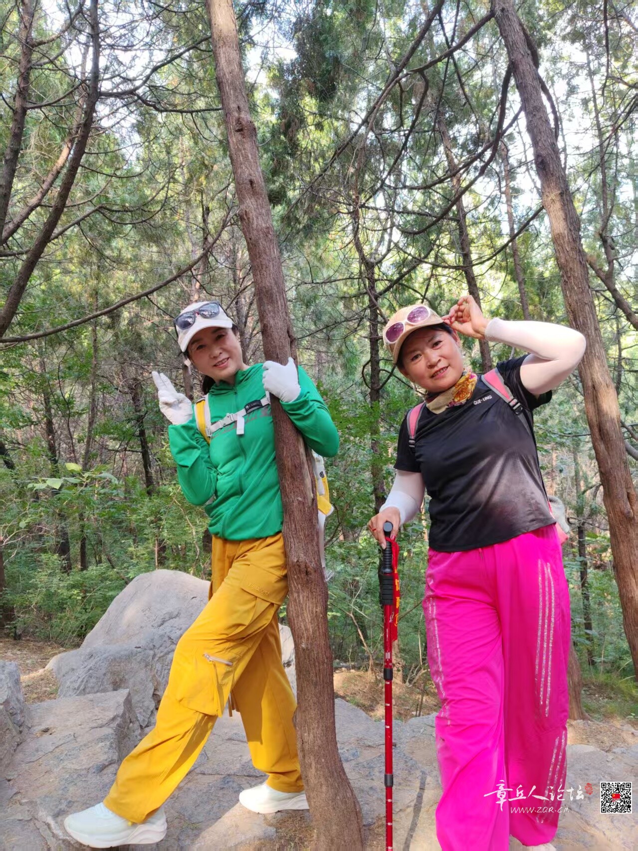 微信图片_20260718081158_89_5.jpg