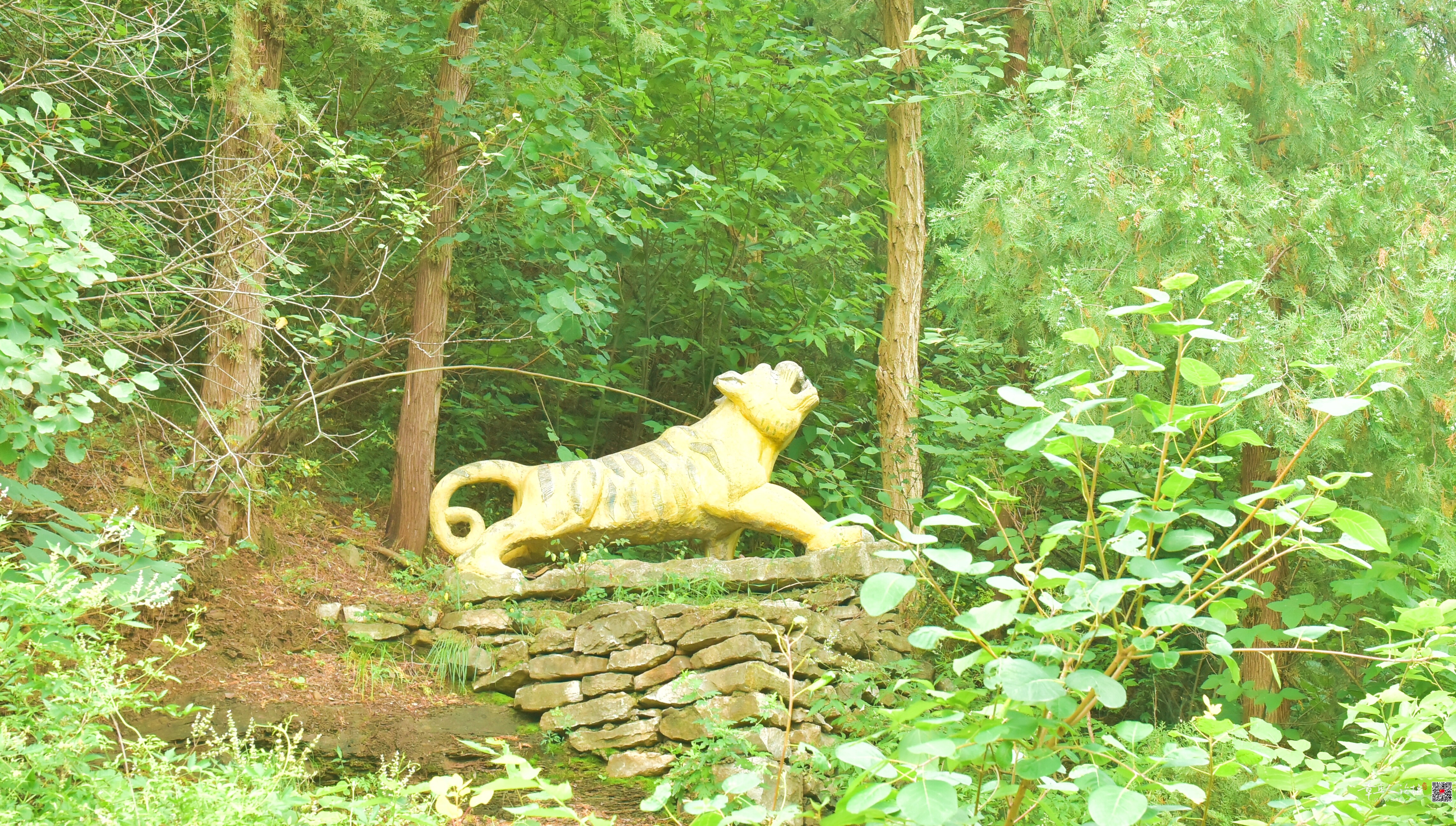 DSC_3684.JPG