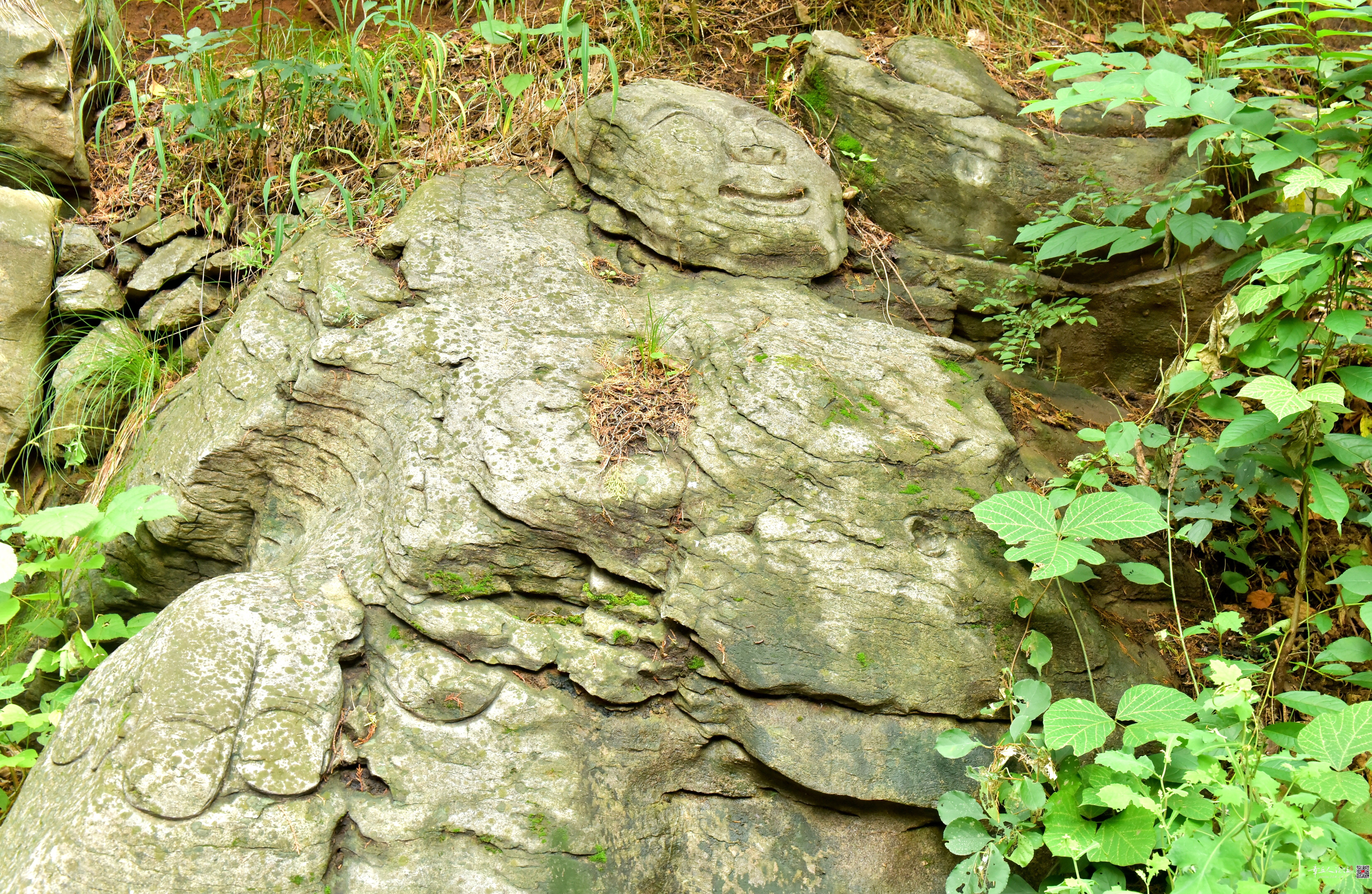 DSC_3690.JPG