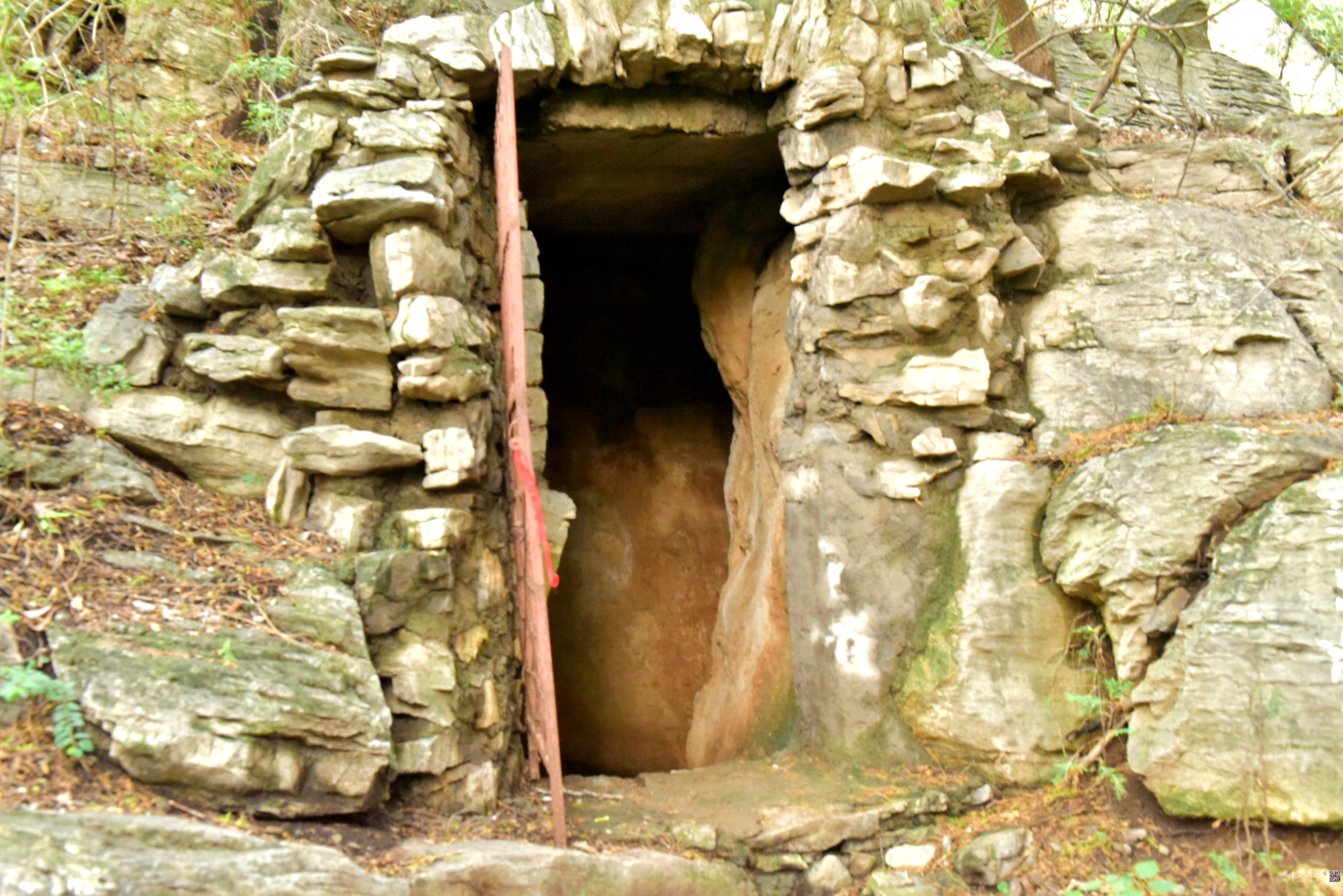 DSC_3713.JPG