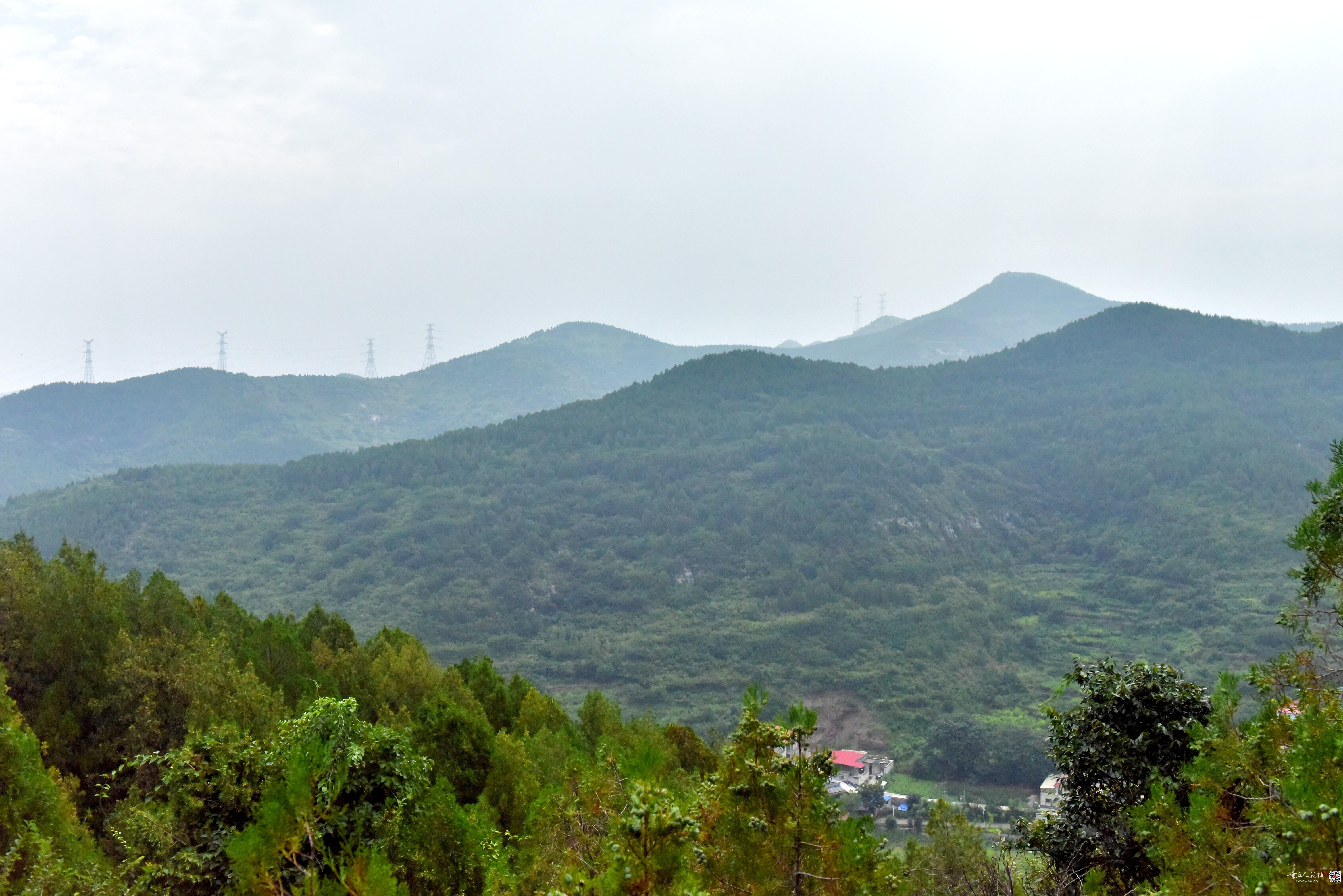 DSC_3736.JPG