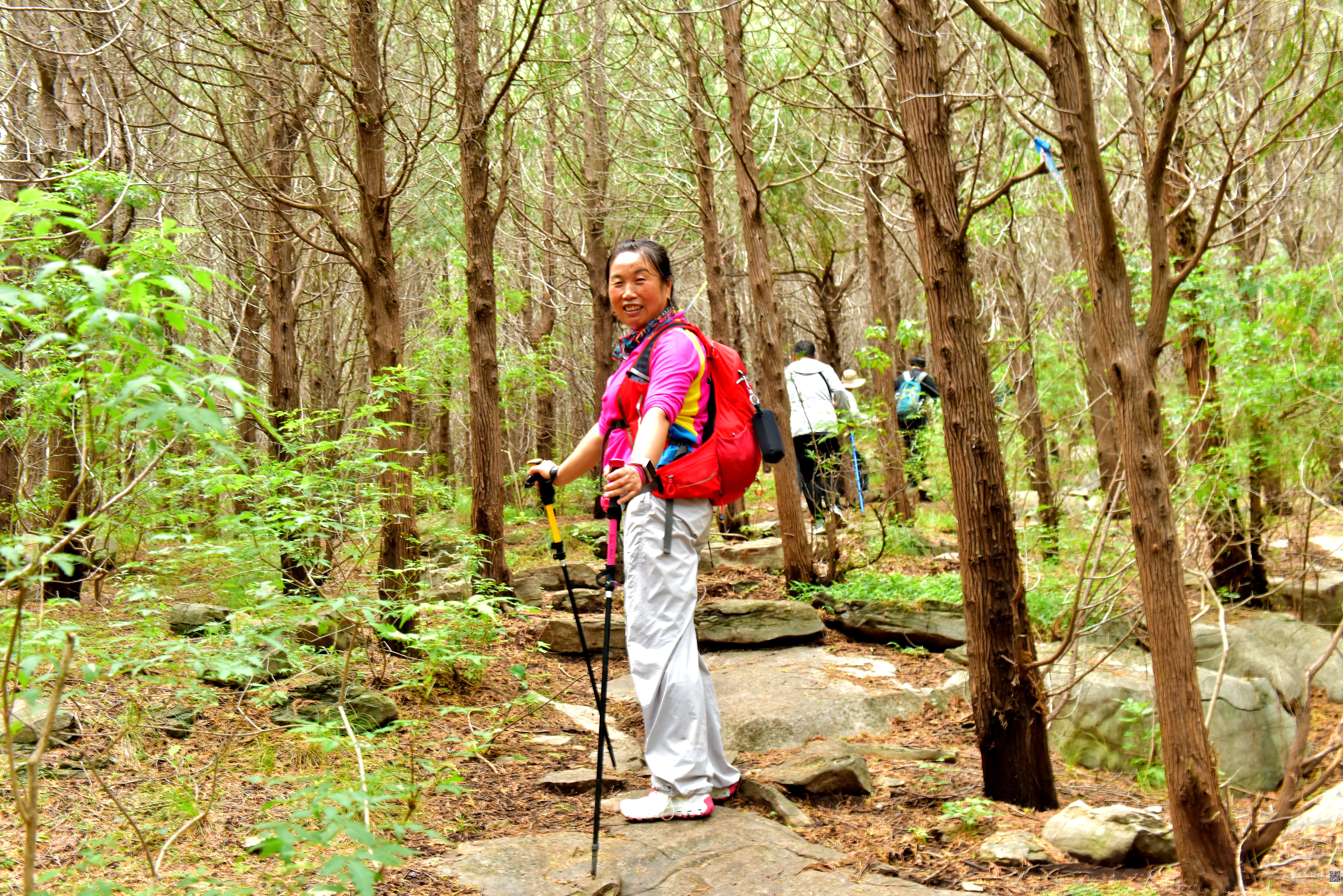DSC_3753.JPG