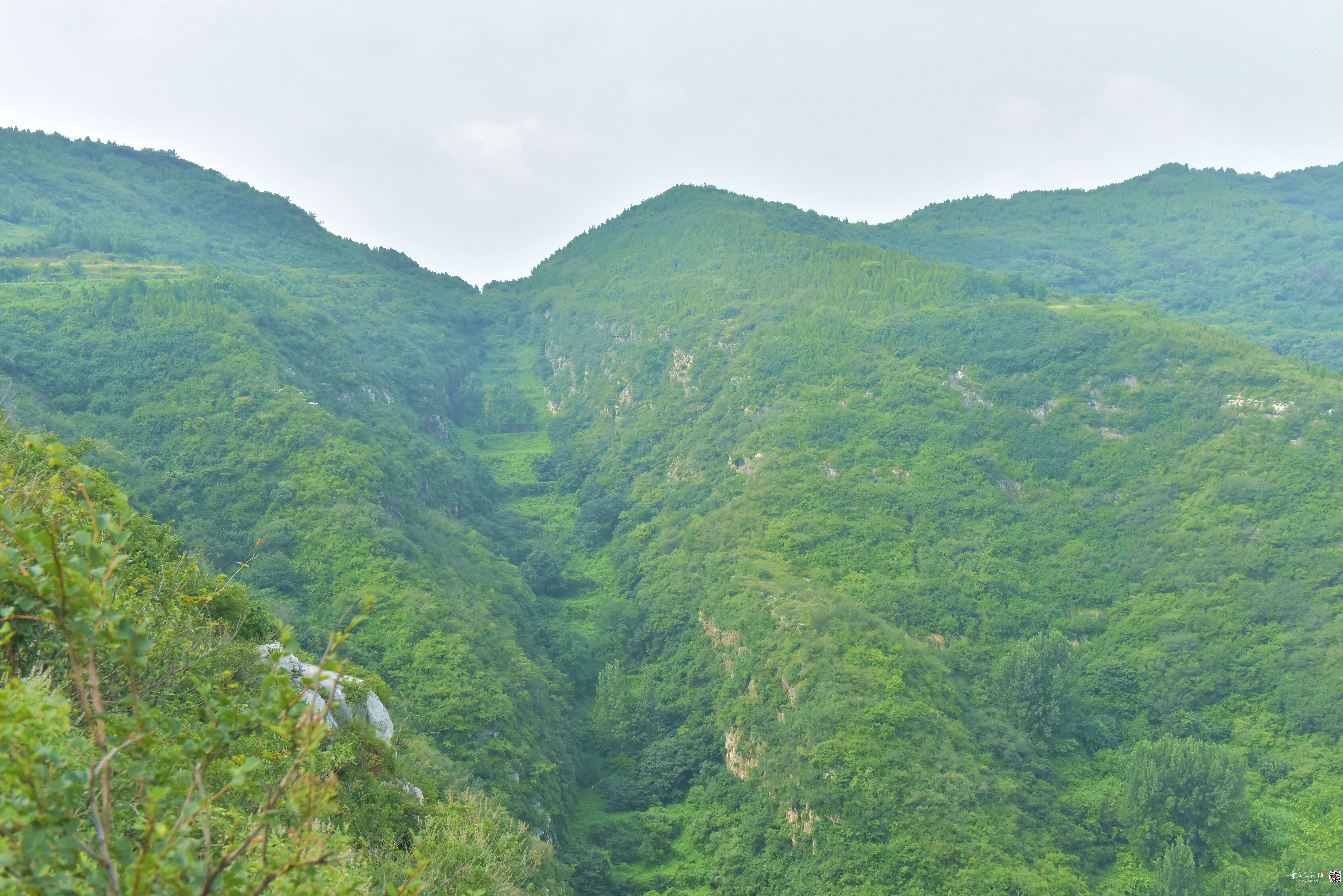 DSC_3822.JPG