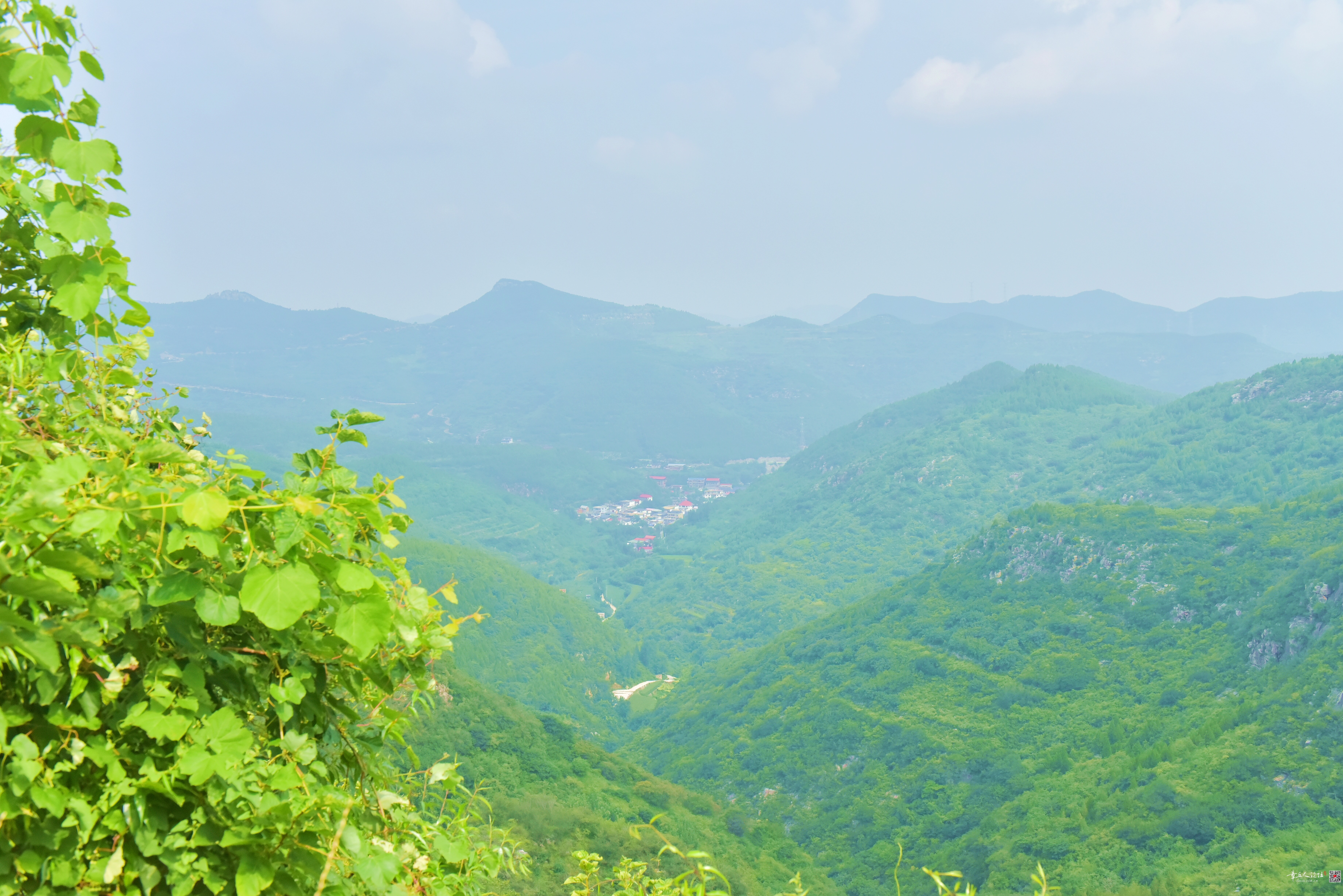 DSC_3832.JPG