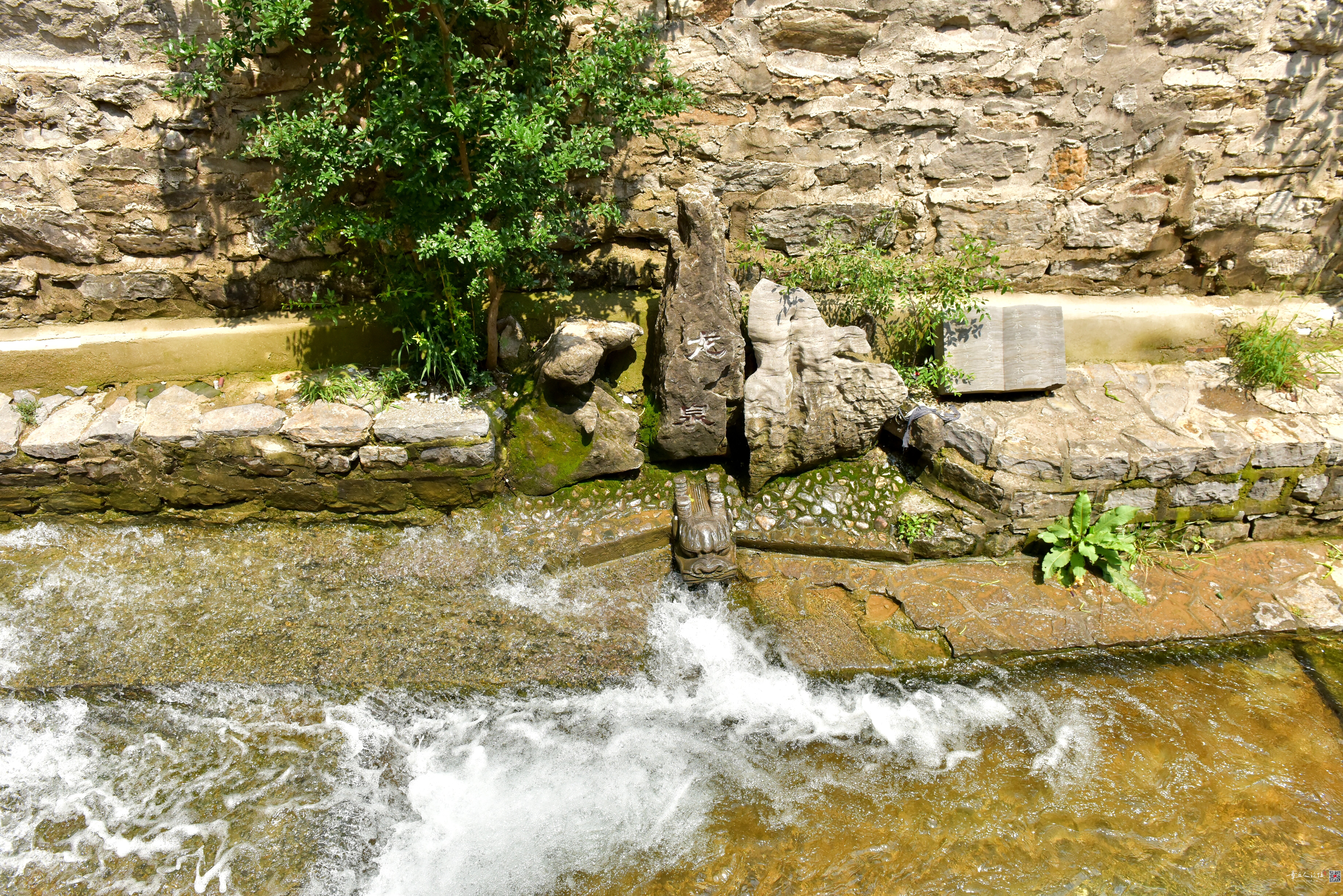 DSC_3872.JPG