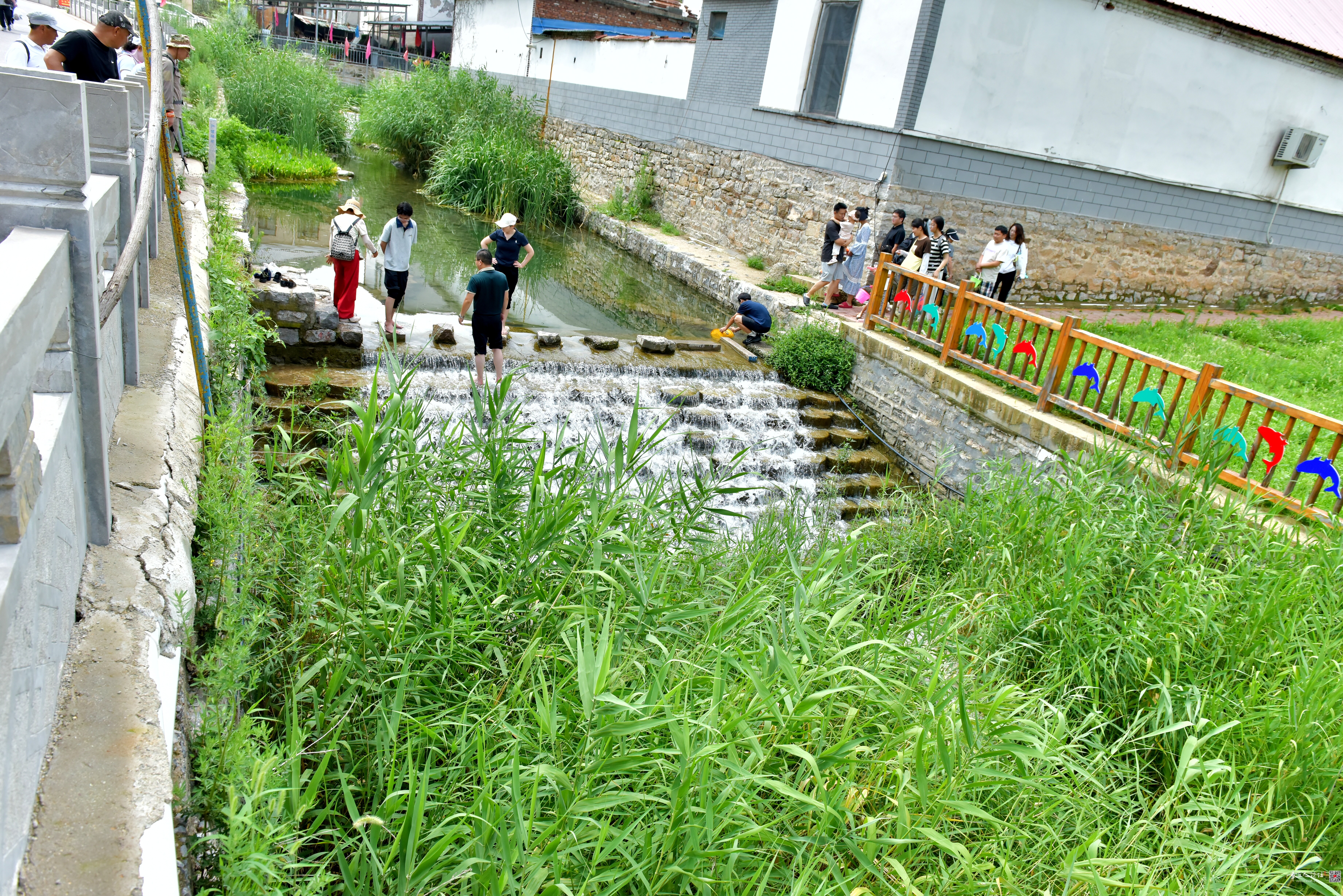 DSC_3875.JPG