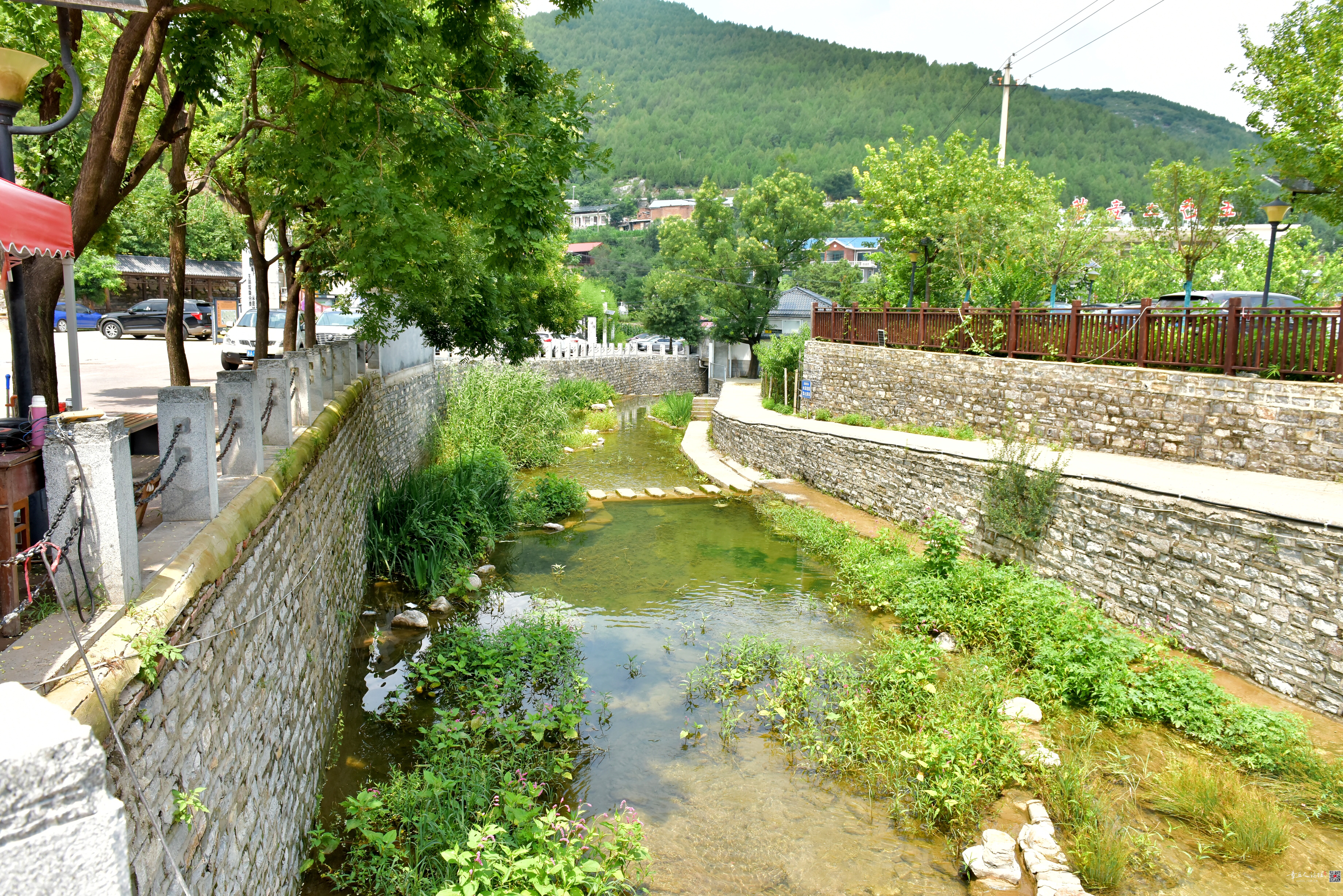 DSC_3877.JPG