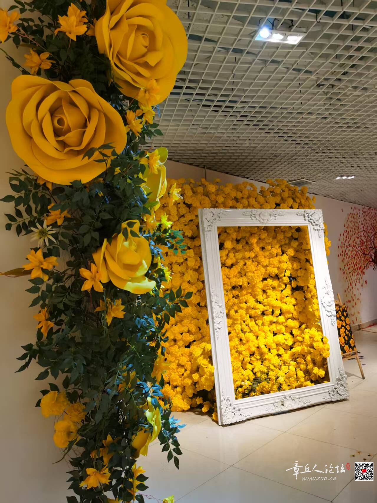 微信图片_20260723090545_85_5.jpg
