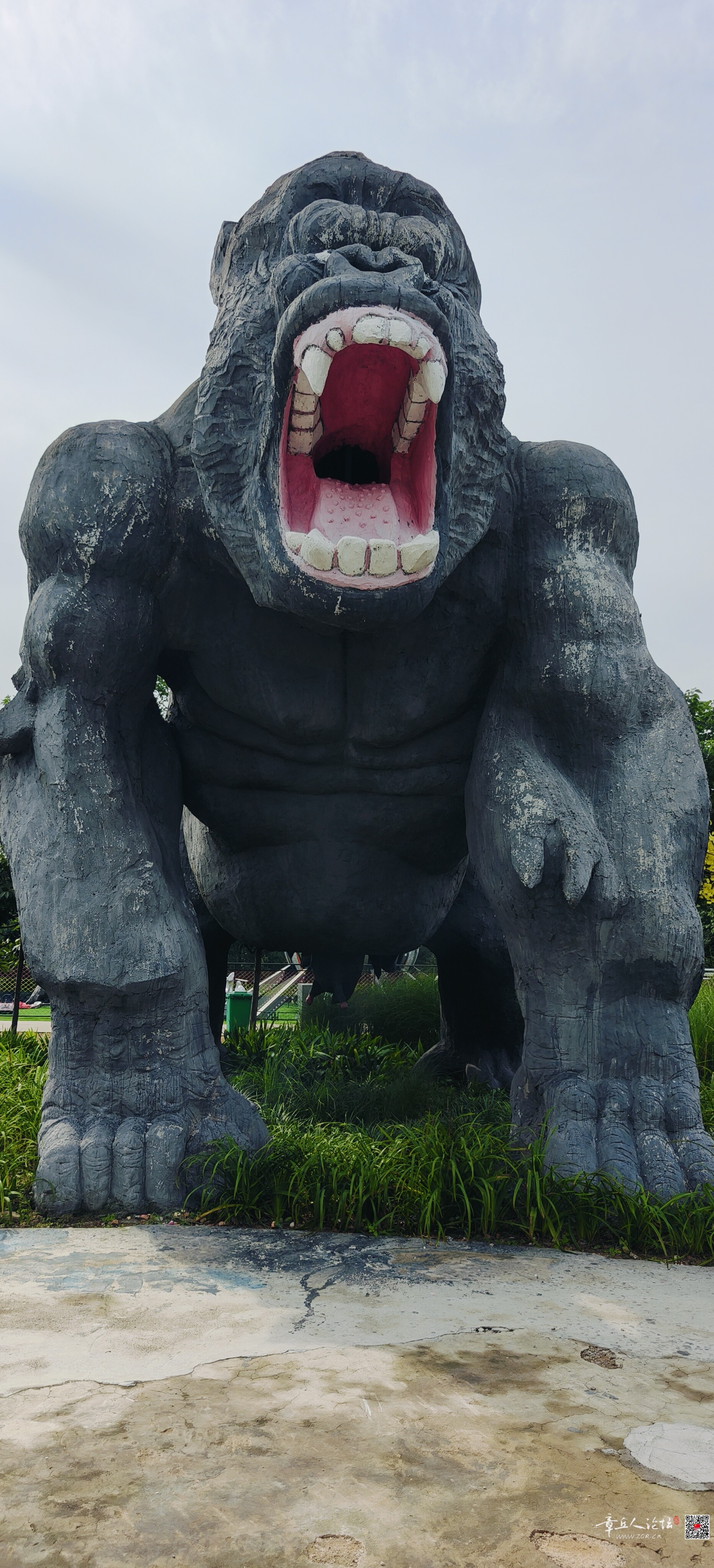 微信图片_20260723090836_201_5.jpg