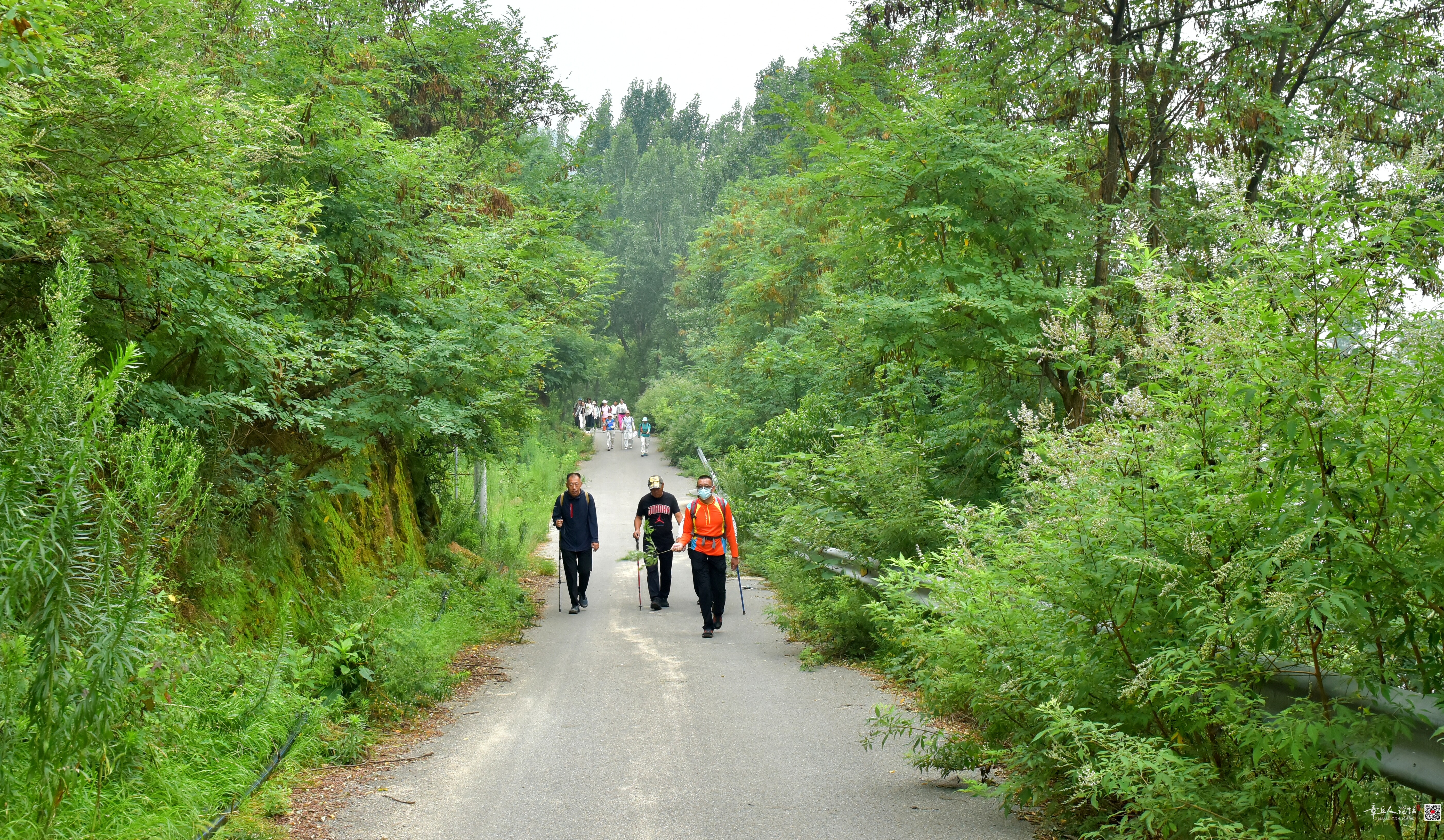 DSC_3961.JPG