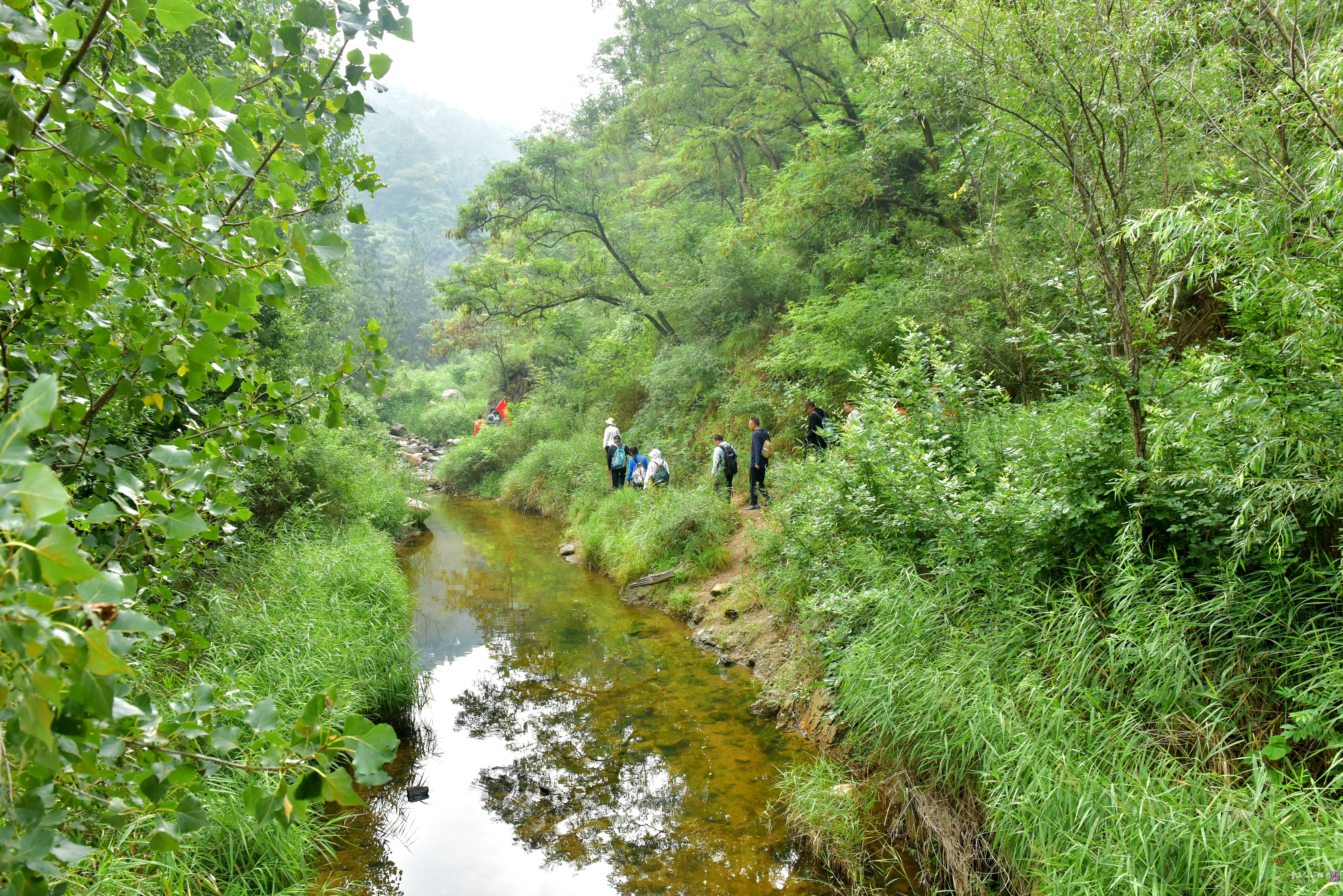 DSC_3966.JPG