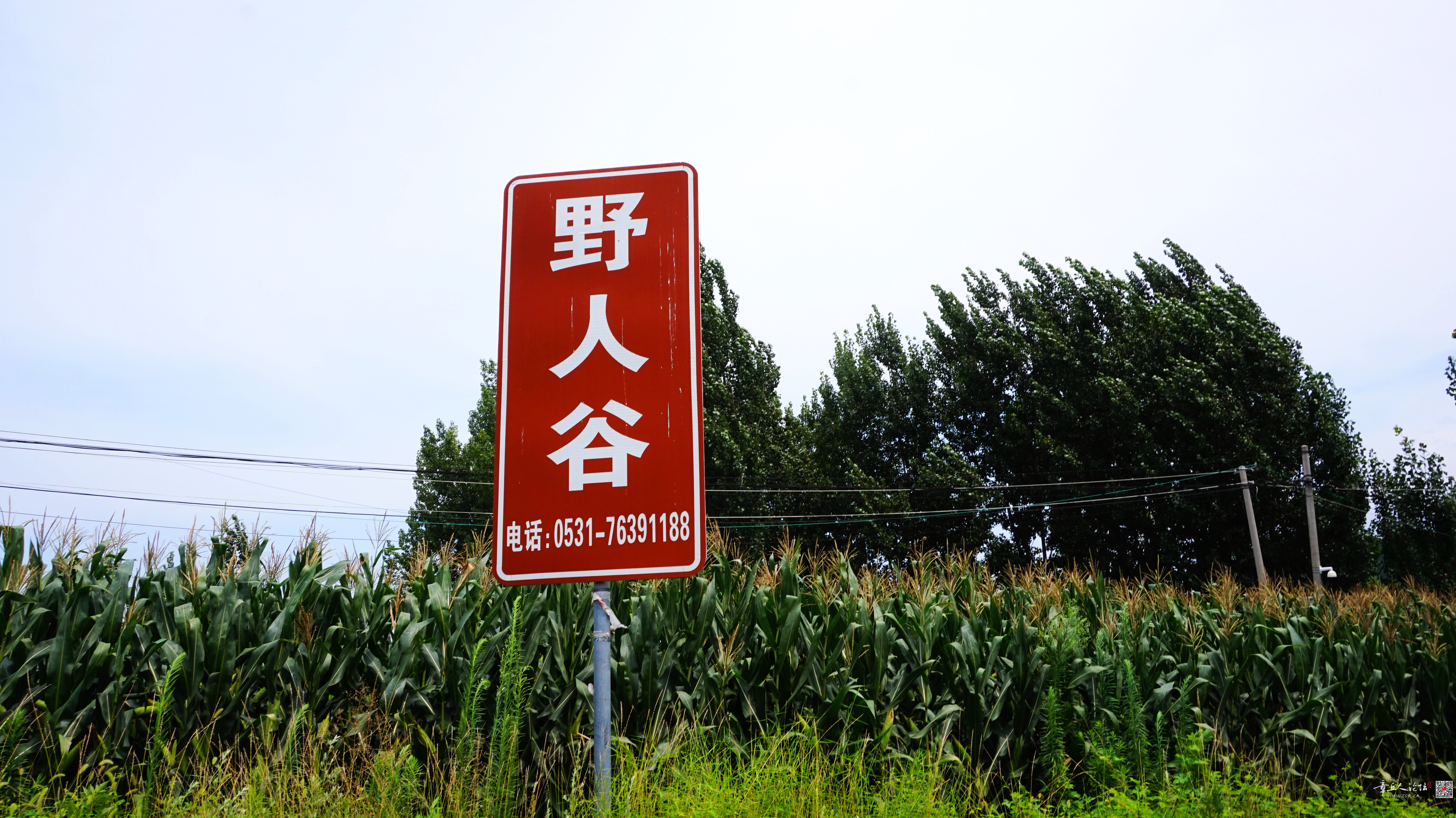 微信图片_20260726162337_2200_22.jpg