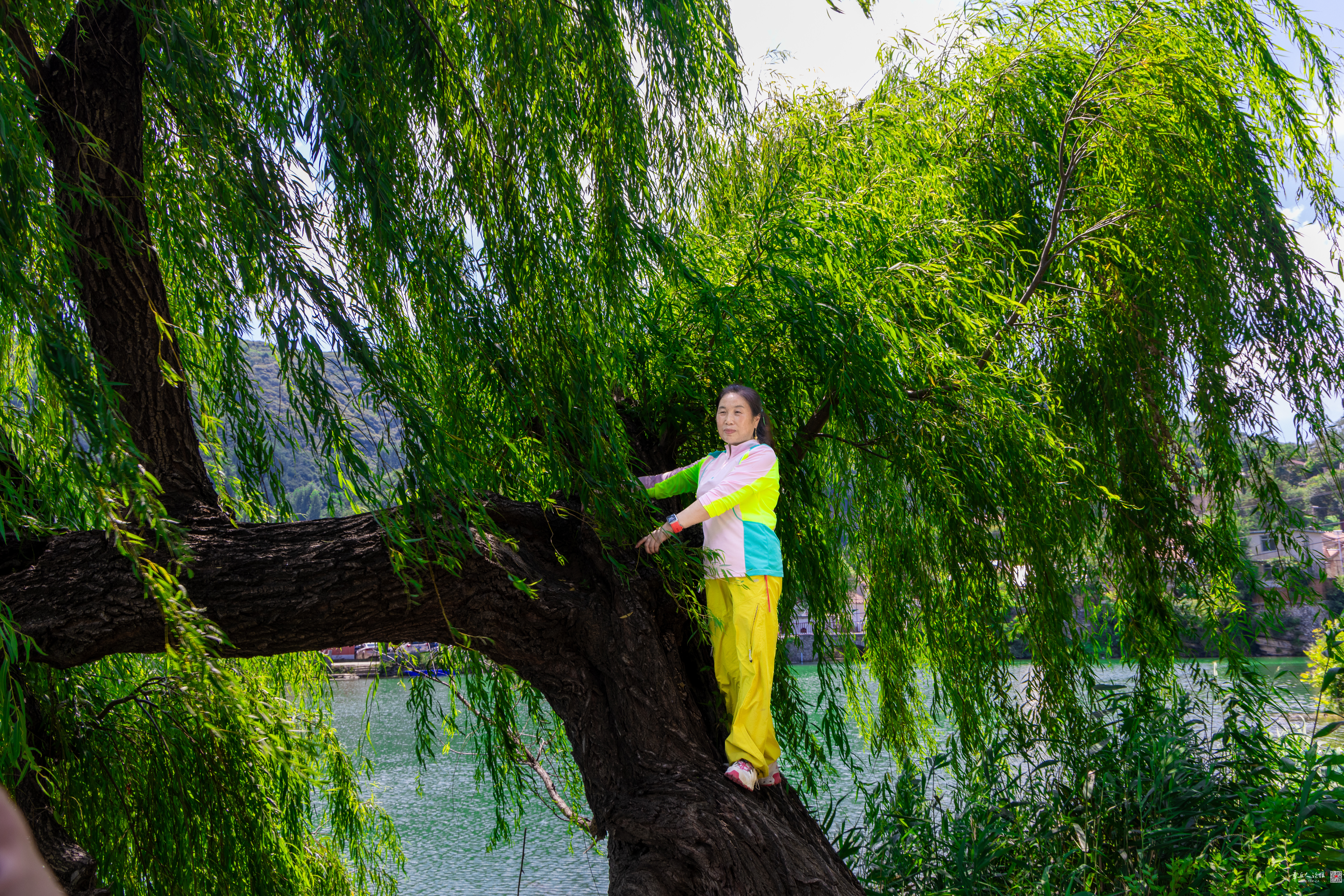 微信图片_20260803114242_4762_2.jpg
