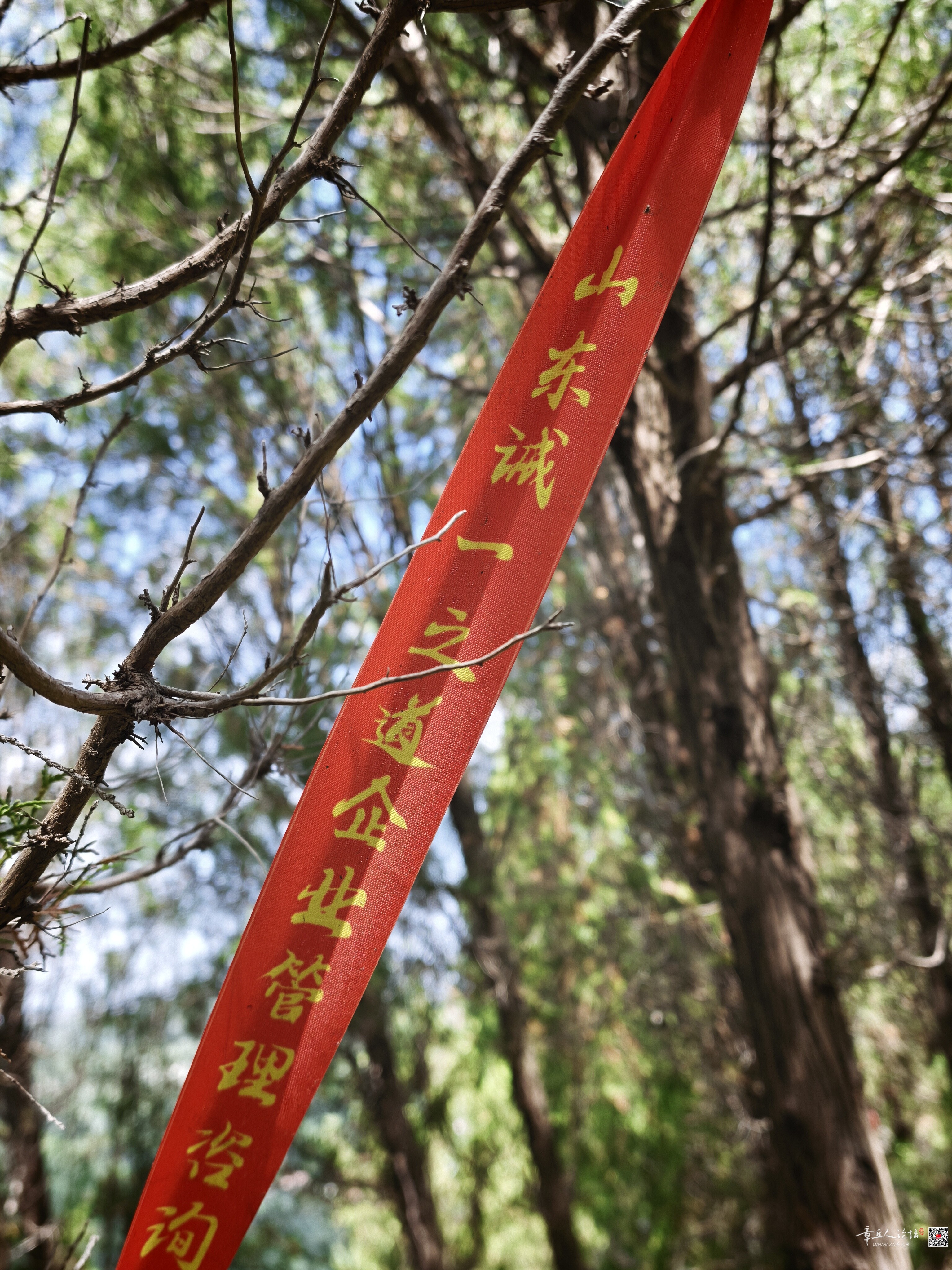 微信图片_20260803224806_117_4.jpg