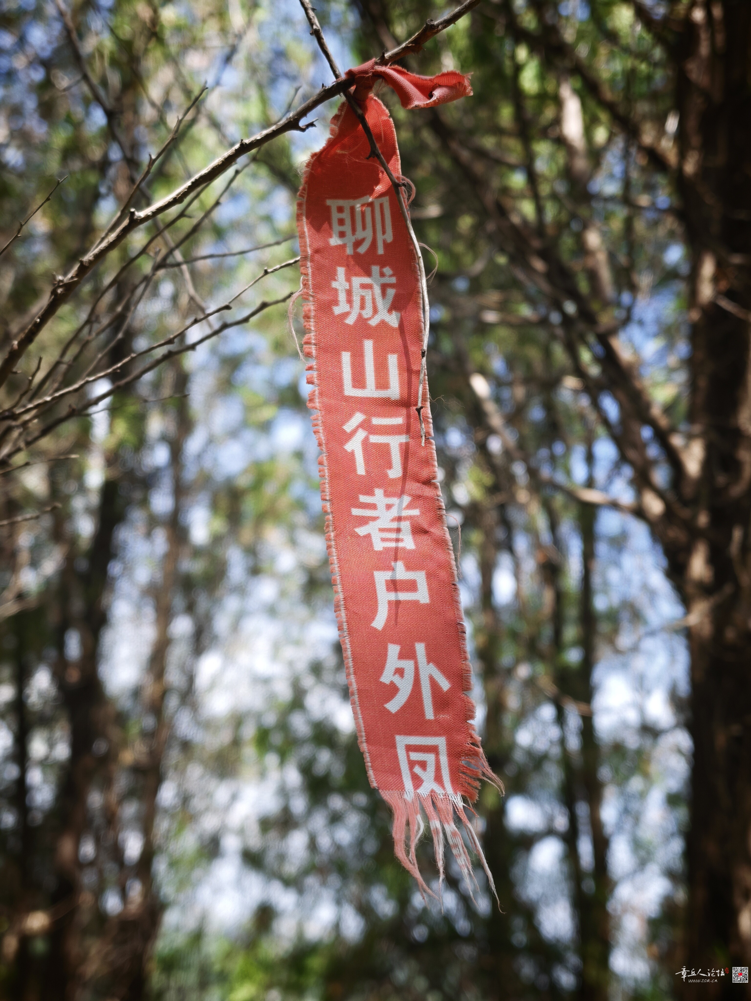 微信图片_20260803224810_118_4.jpg