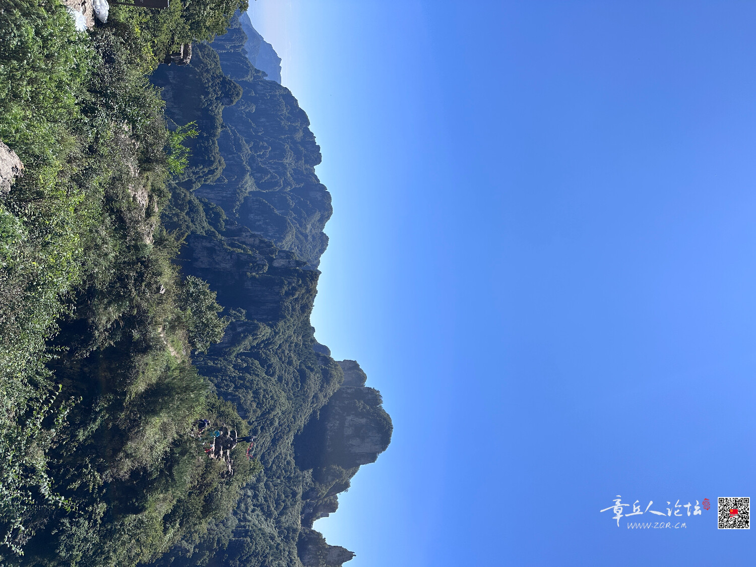 IMG_8705.jpeg