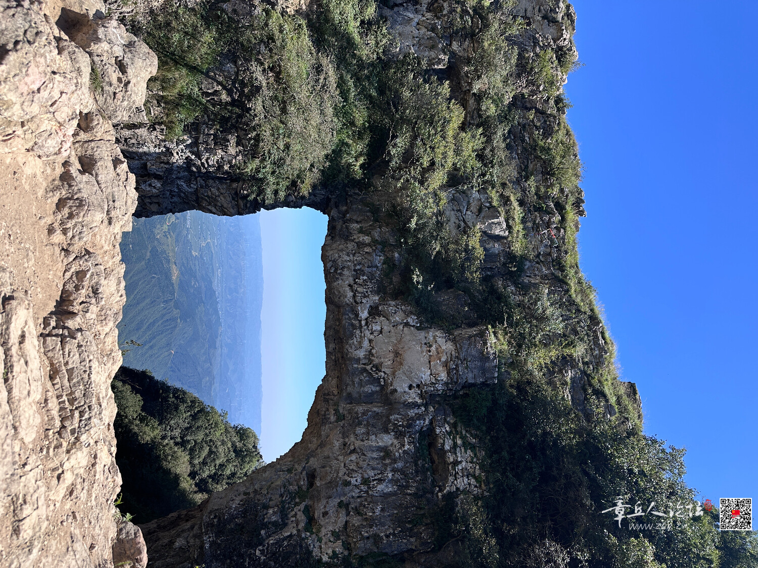 IMG_8694.jpeg