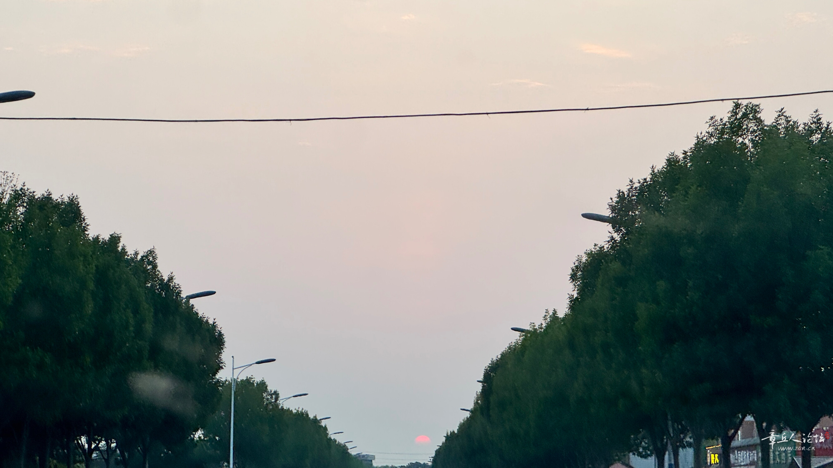 IMG_5640.jpeg