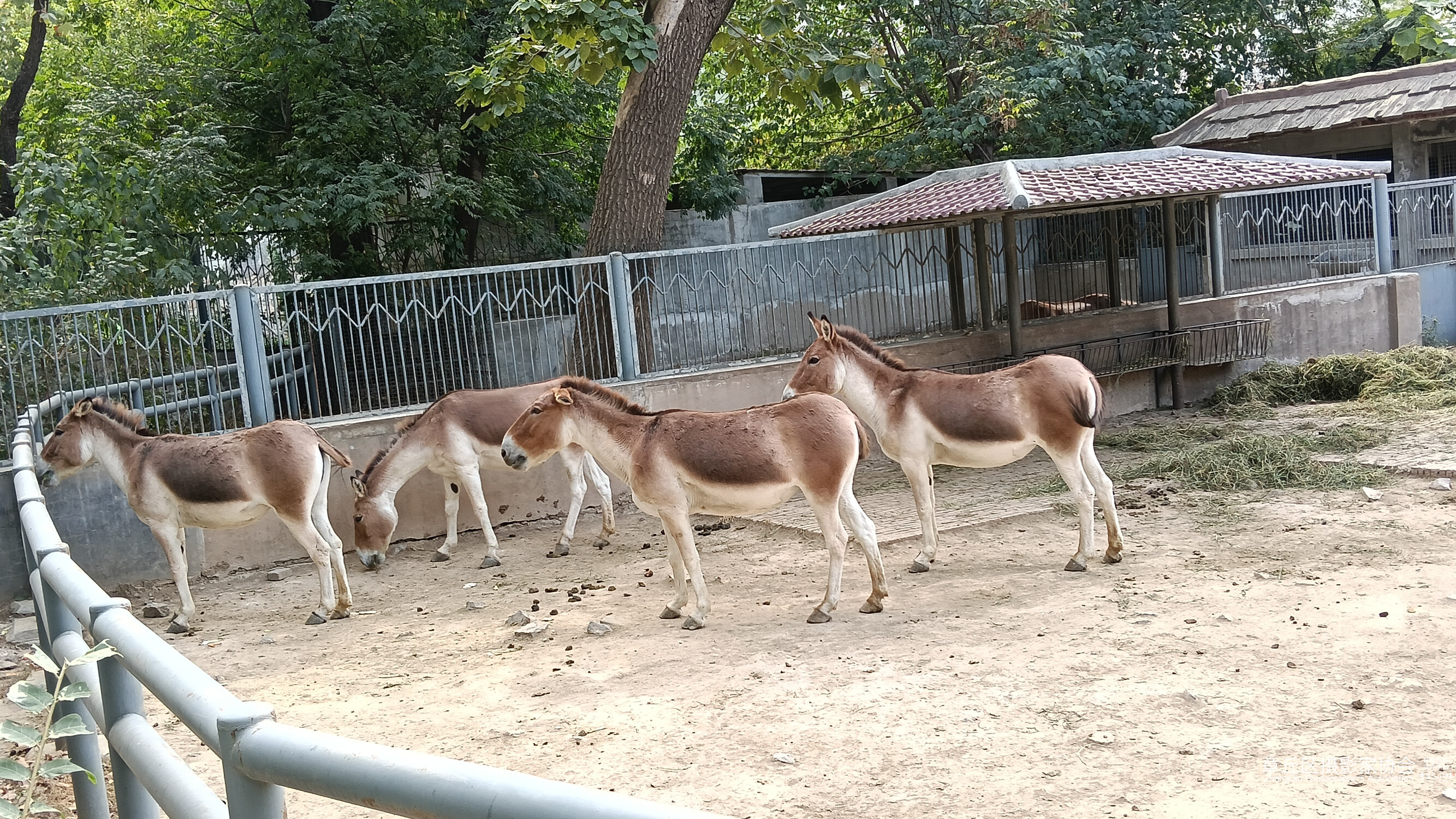 IMG20261001140240.jpg