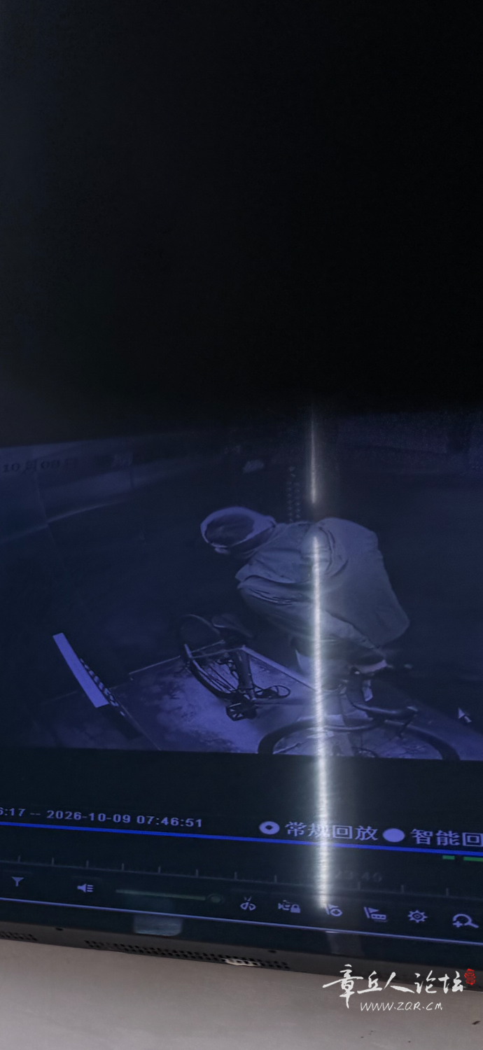 IMG_0310.png