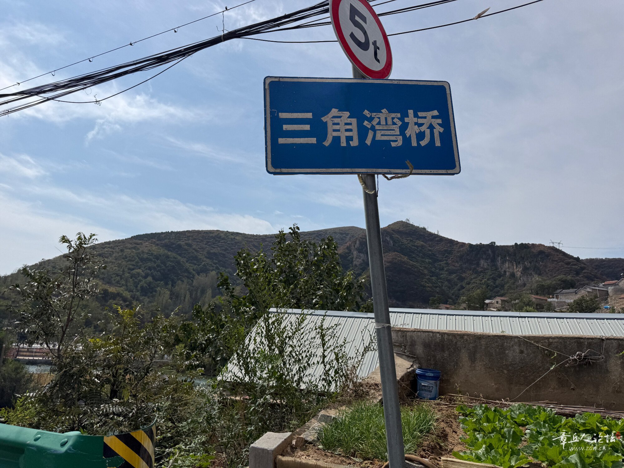 IMG_0305.jpeg
