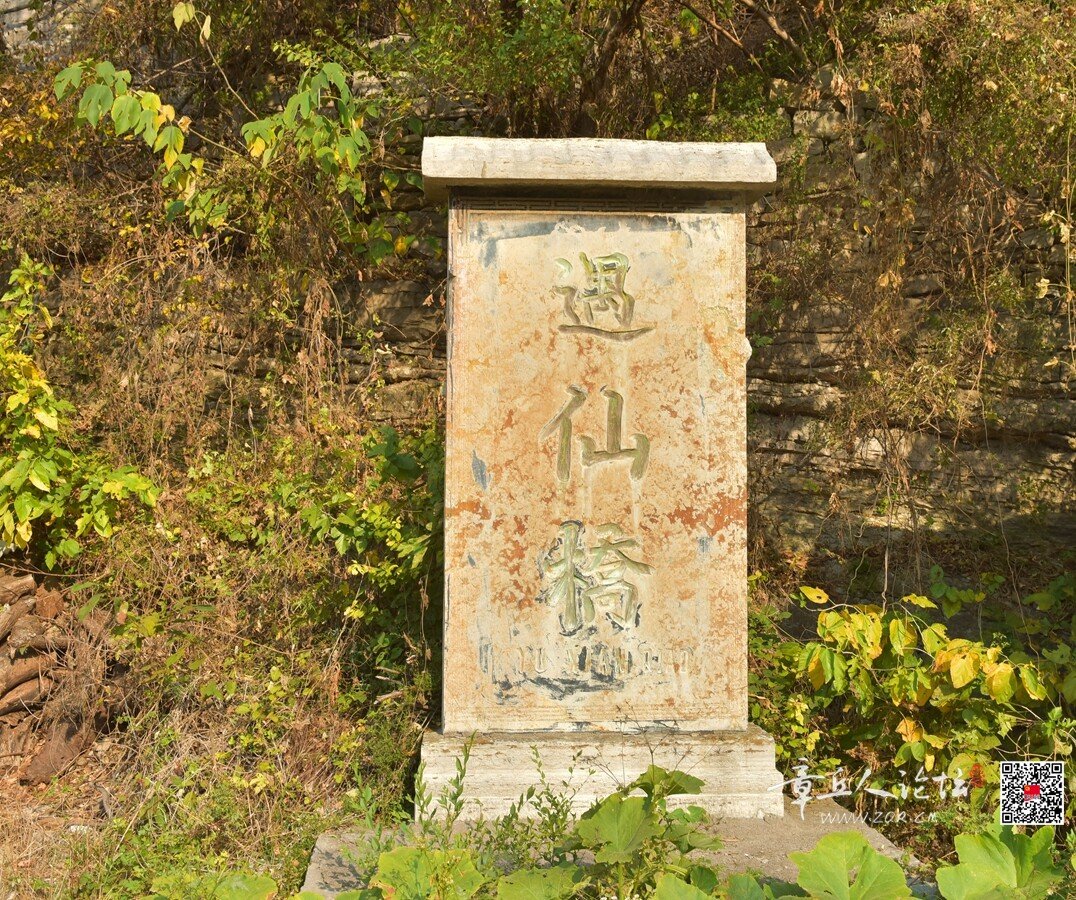 DSC_7541.jpg
