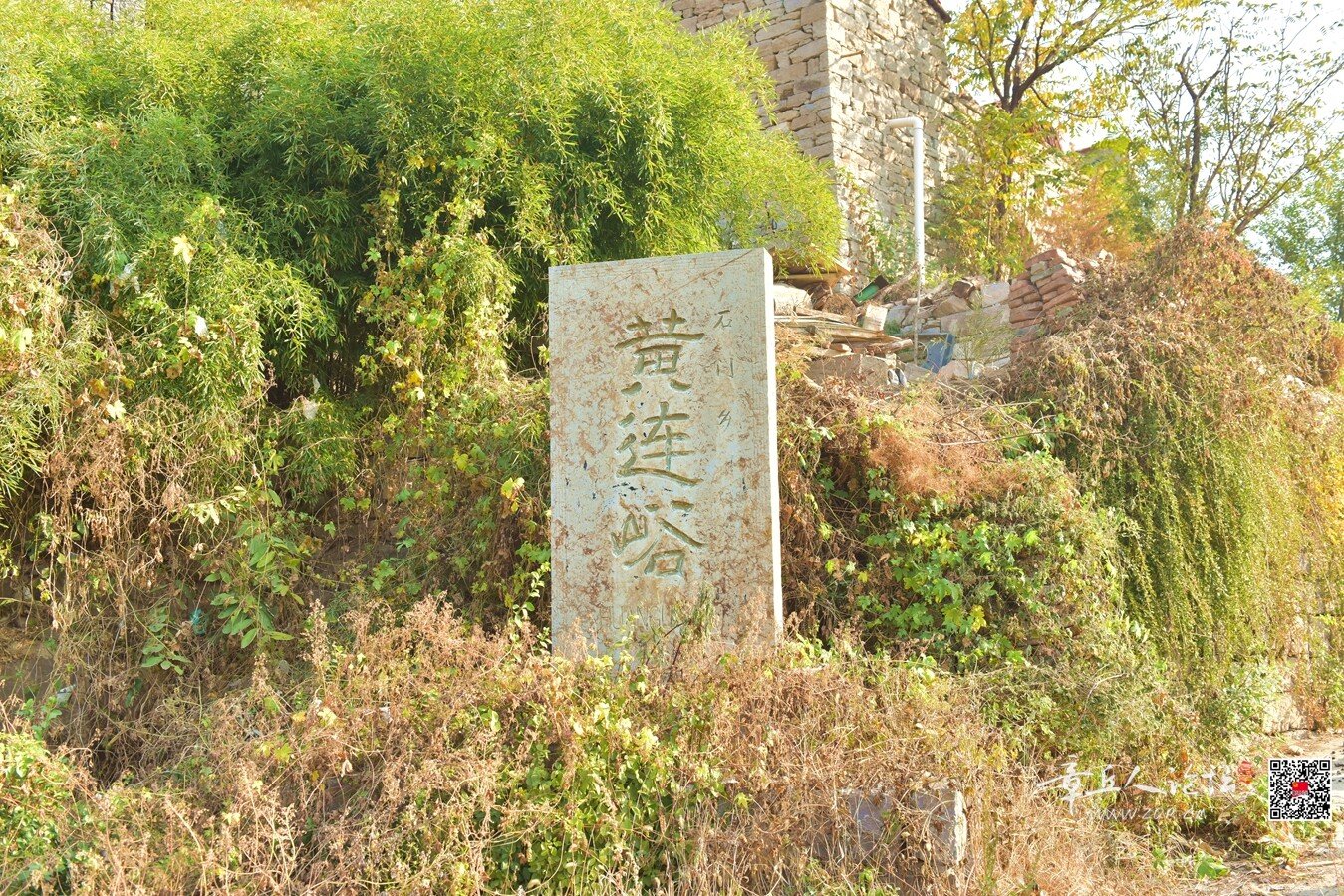 DSC_7537.jpg