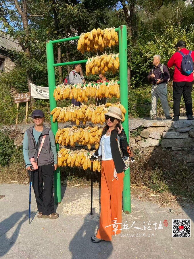 微信图片_20261011105854_6021_22.jpg