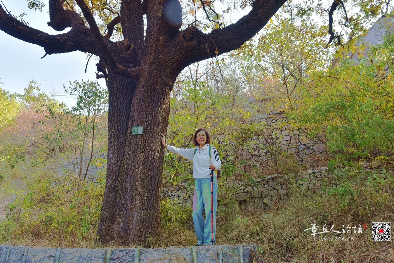 DSC_7588.jpg
