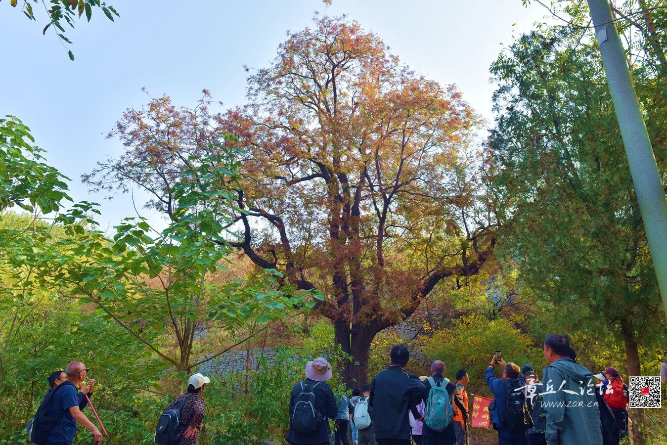 DSC_7584.jpg