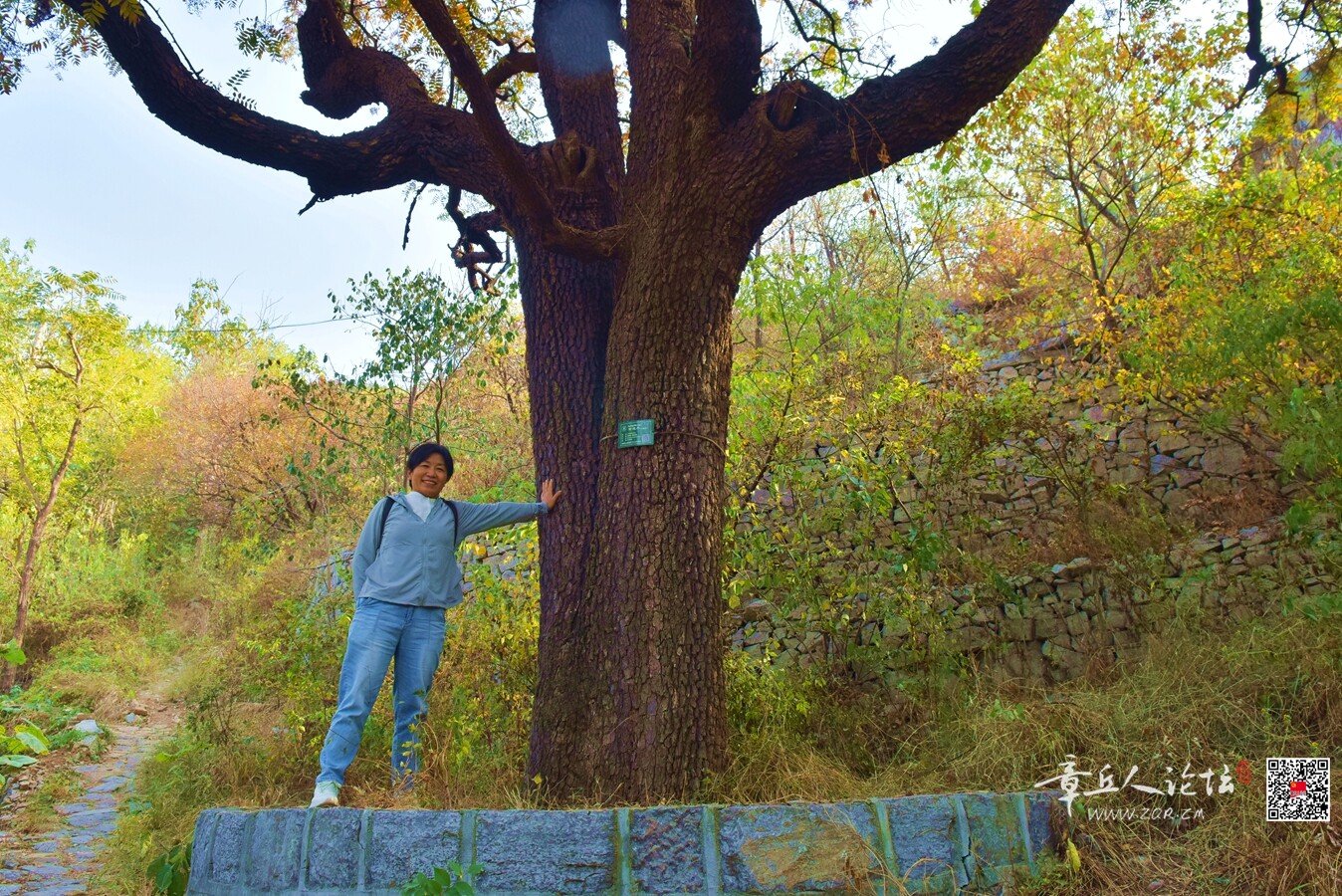 DSC_7593.jpg
