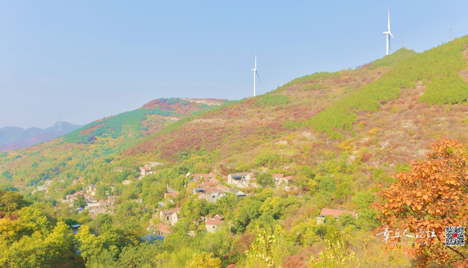 DSC_7611.jpg