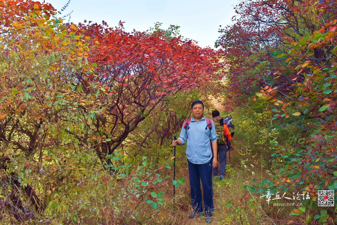 DSC_7617.jpg