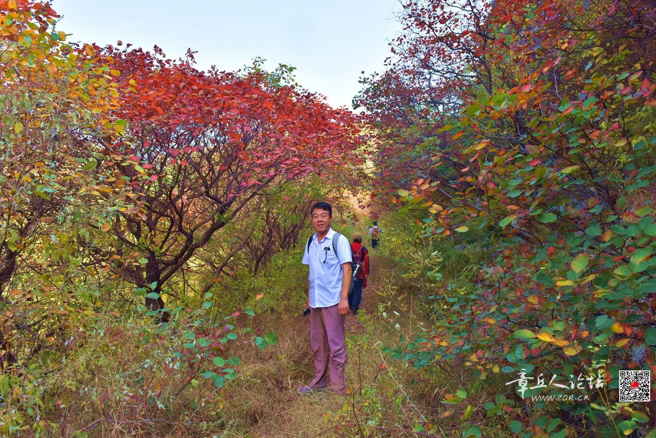DSC_7621.jpg