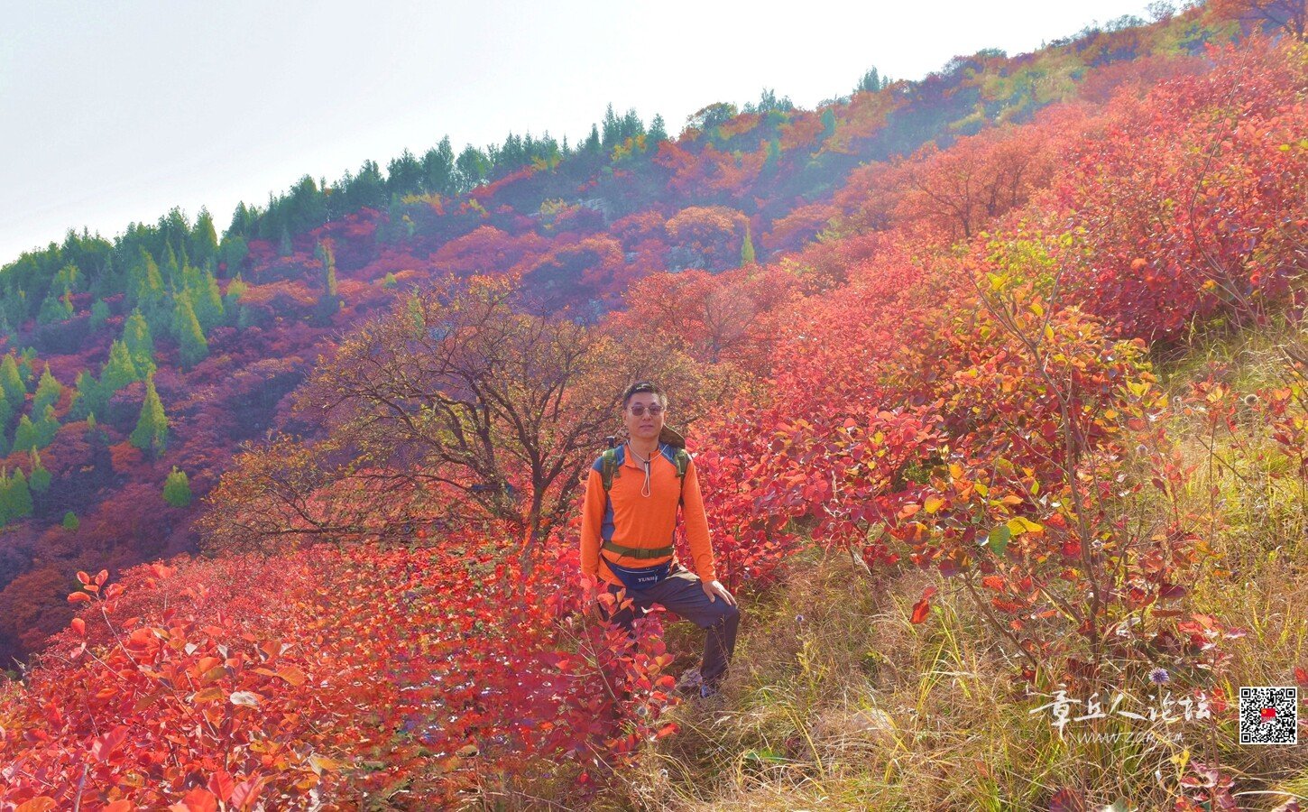 DSC_7674.jpg