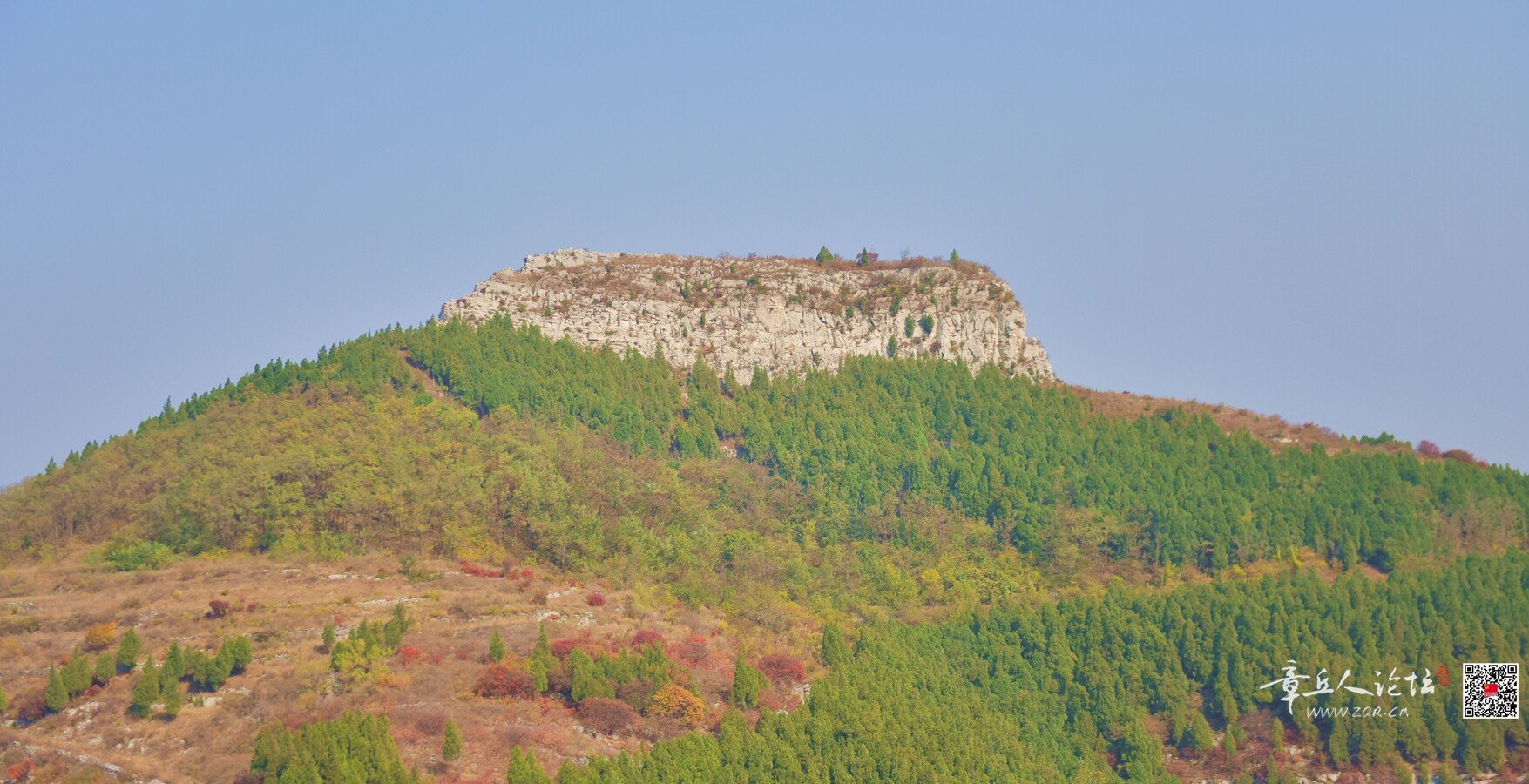 DSC_7717.jpg