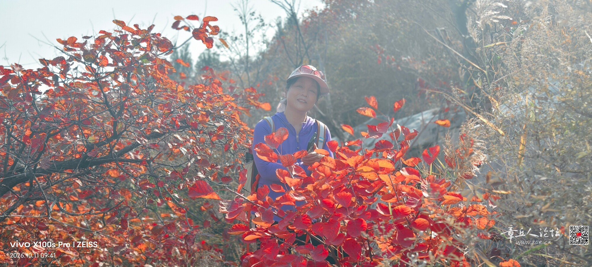 微信图片_20261011125215_7783_2.jpg