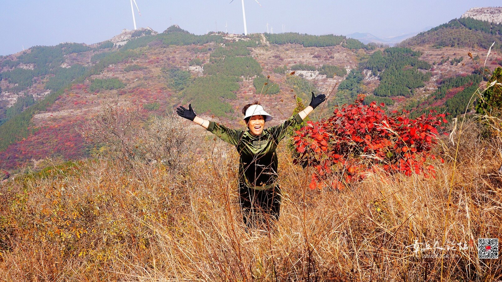 微信图片_20261011173519_8113_2.jpg