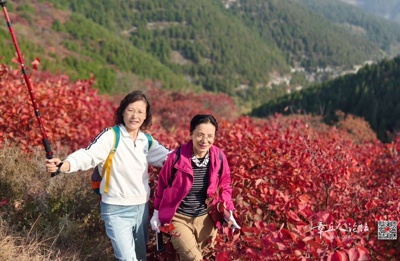 微信图片_20261011173700_8172_2.jpg