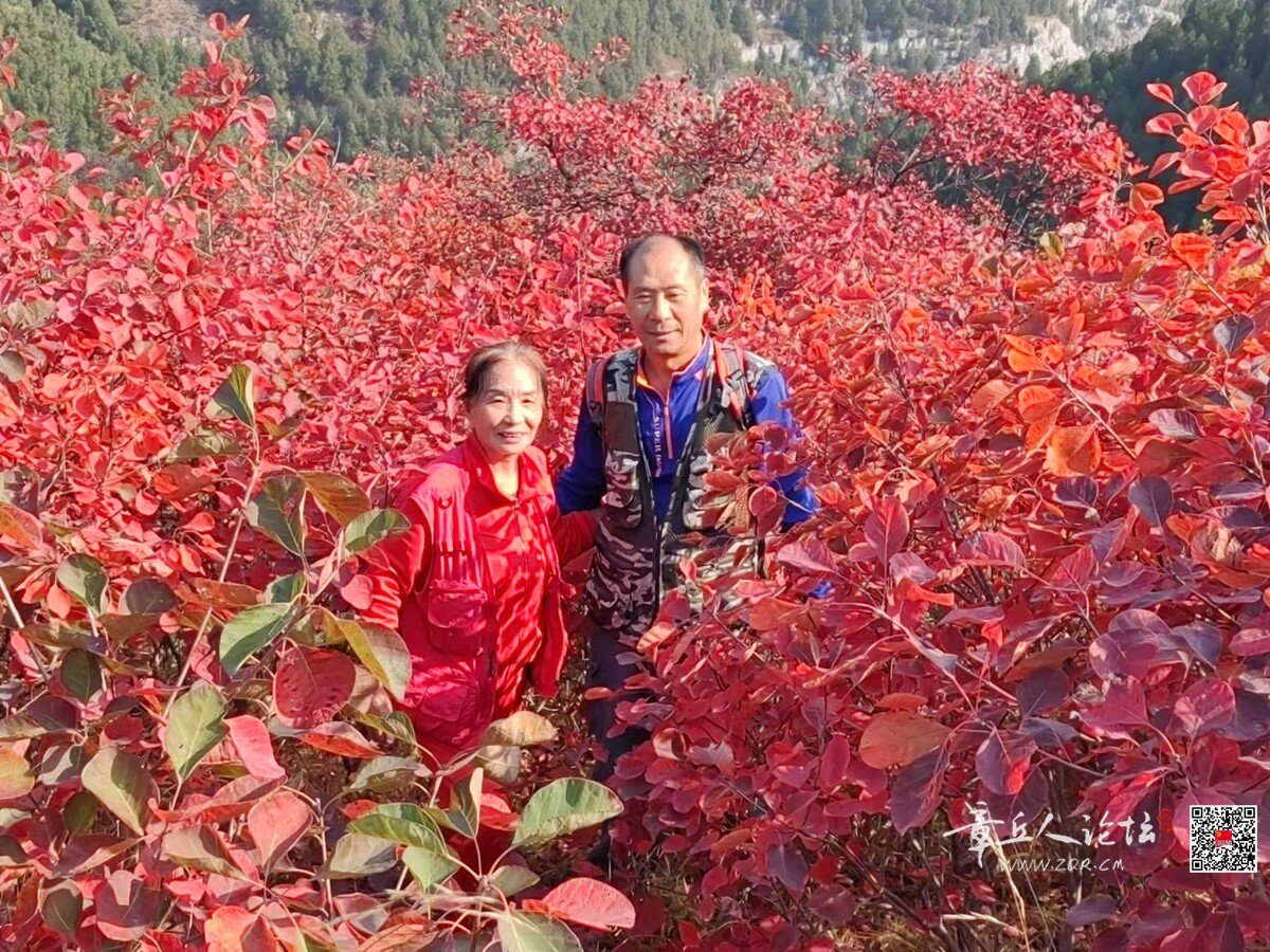 微信图片_20261011174624_6139_22.jpg