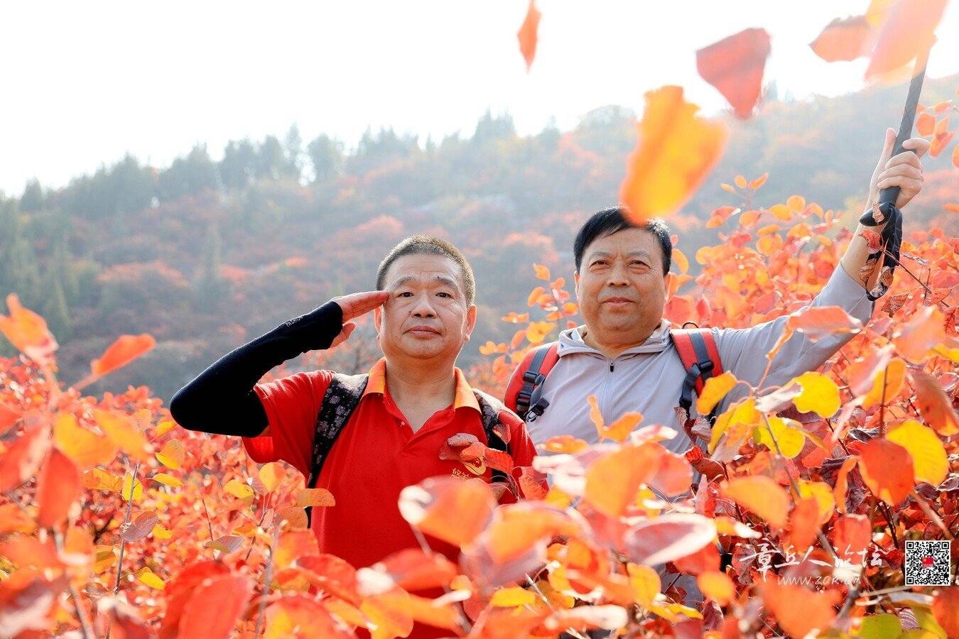 微信图片_20261011191949_8225_2.jpg