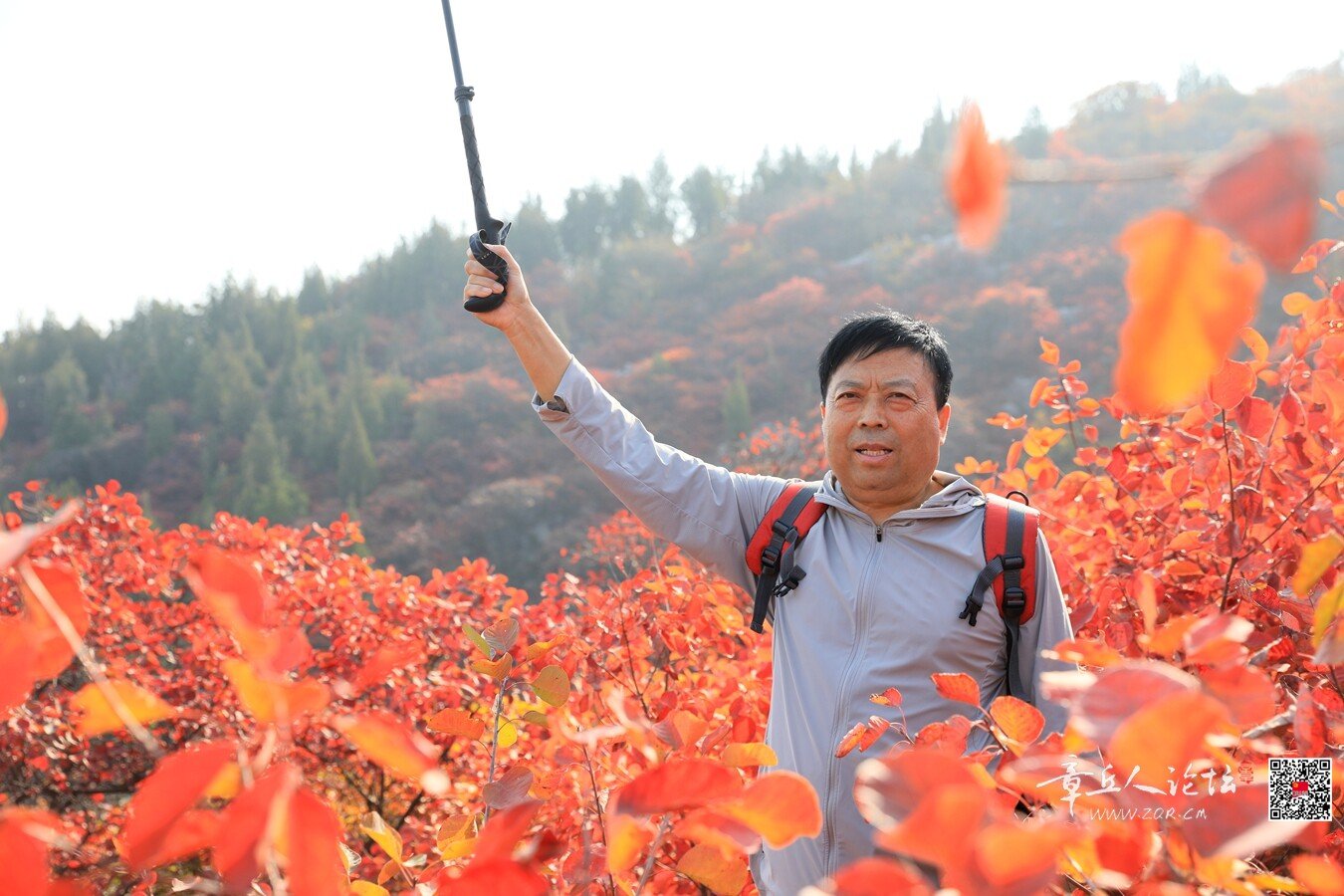 微信图片_20261011191951_8226_2.jpg