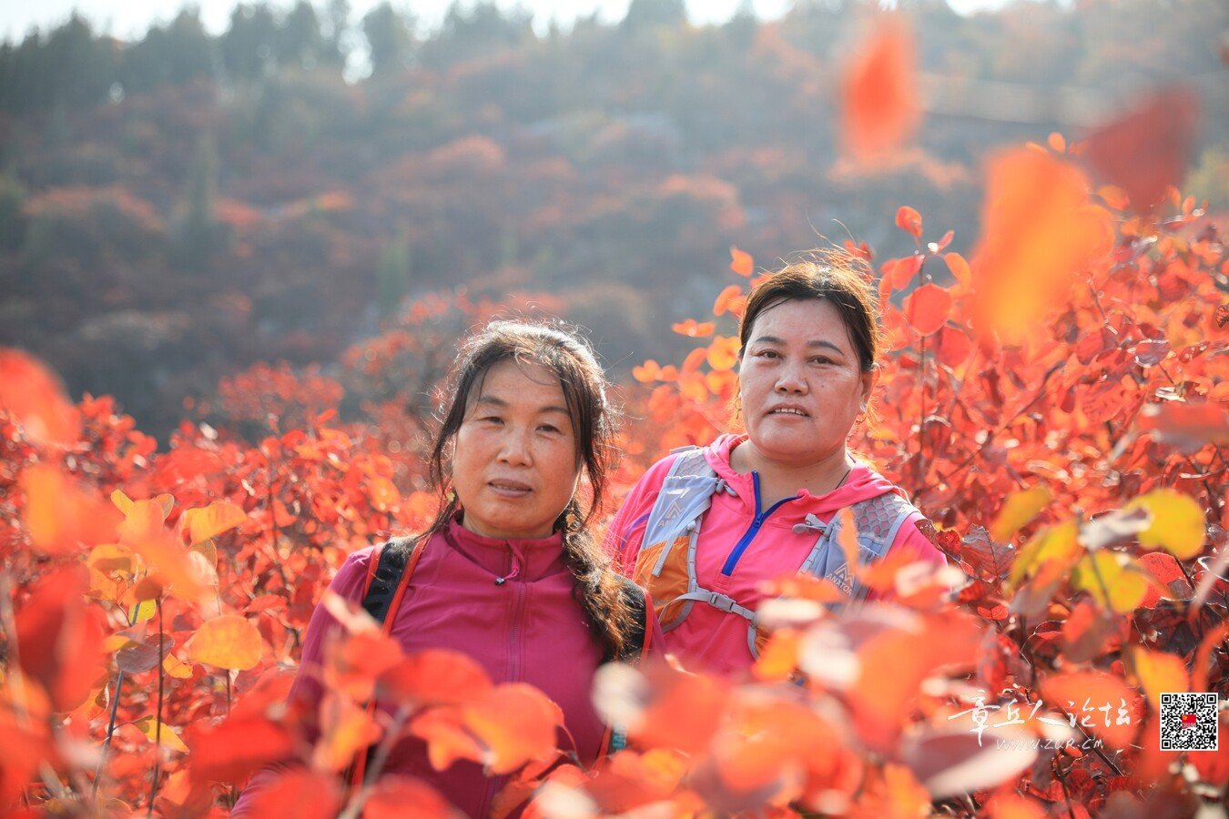 微信图片_20261011191955_8228_2.jpg
