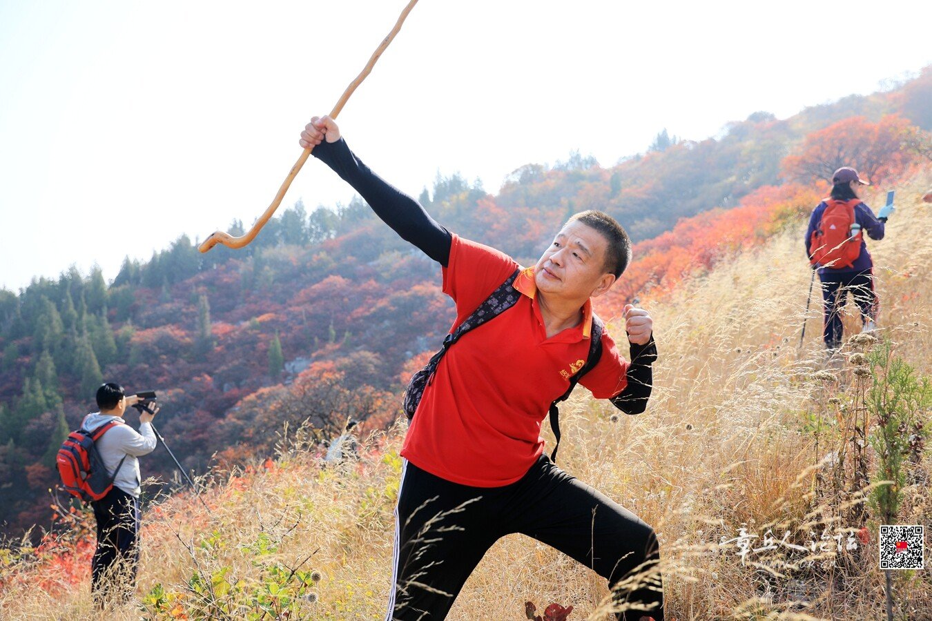微信图片_20261011192002_8231_2.jpg